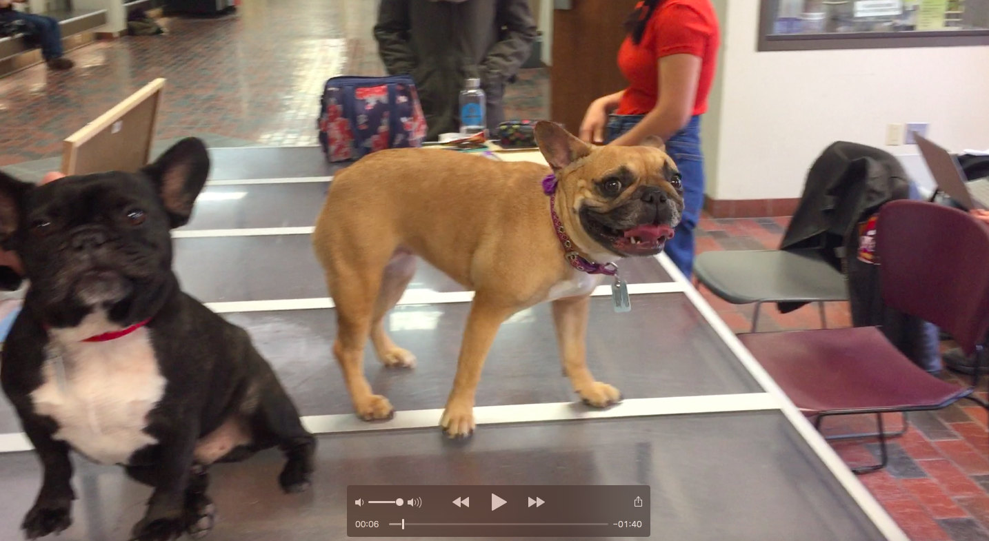 MIRABELLE'S SNORTYSOUNDS!! (1 video)