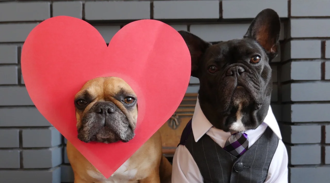 WEDNESDAY MORNINGTIMES, PLUS... HAPPYMERRY VALENTIMES, EVERYBUDDY!! (8 photos) 