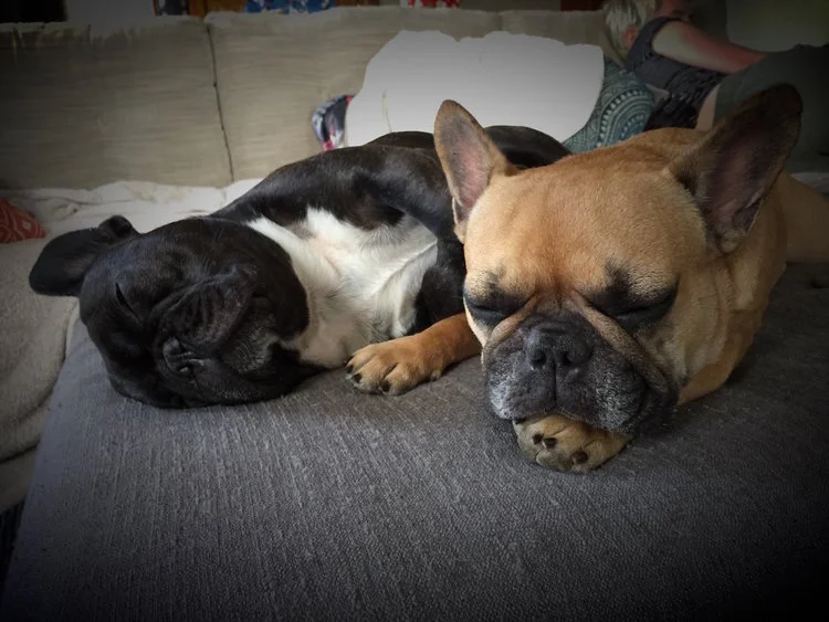 TUESDAY NIGHTYNIGHTIMES... PLUS SOME QUIETIMES WITH MUM (4 photos) 