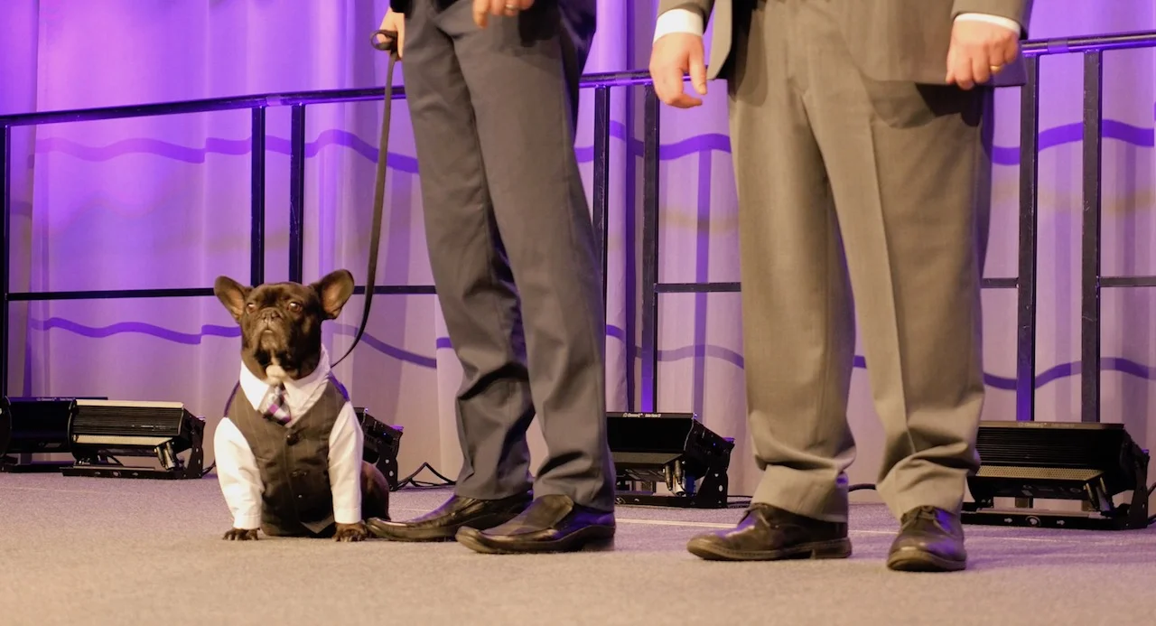 FRIDAY MORNINGTIMES... PLUS ME AT THE "NIGHT OF HEROES" SHOW!! (23 photos) 