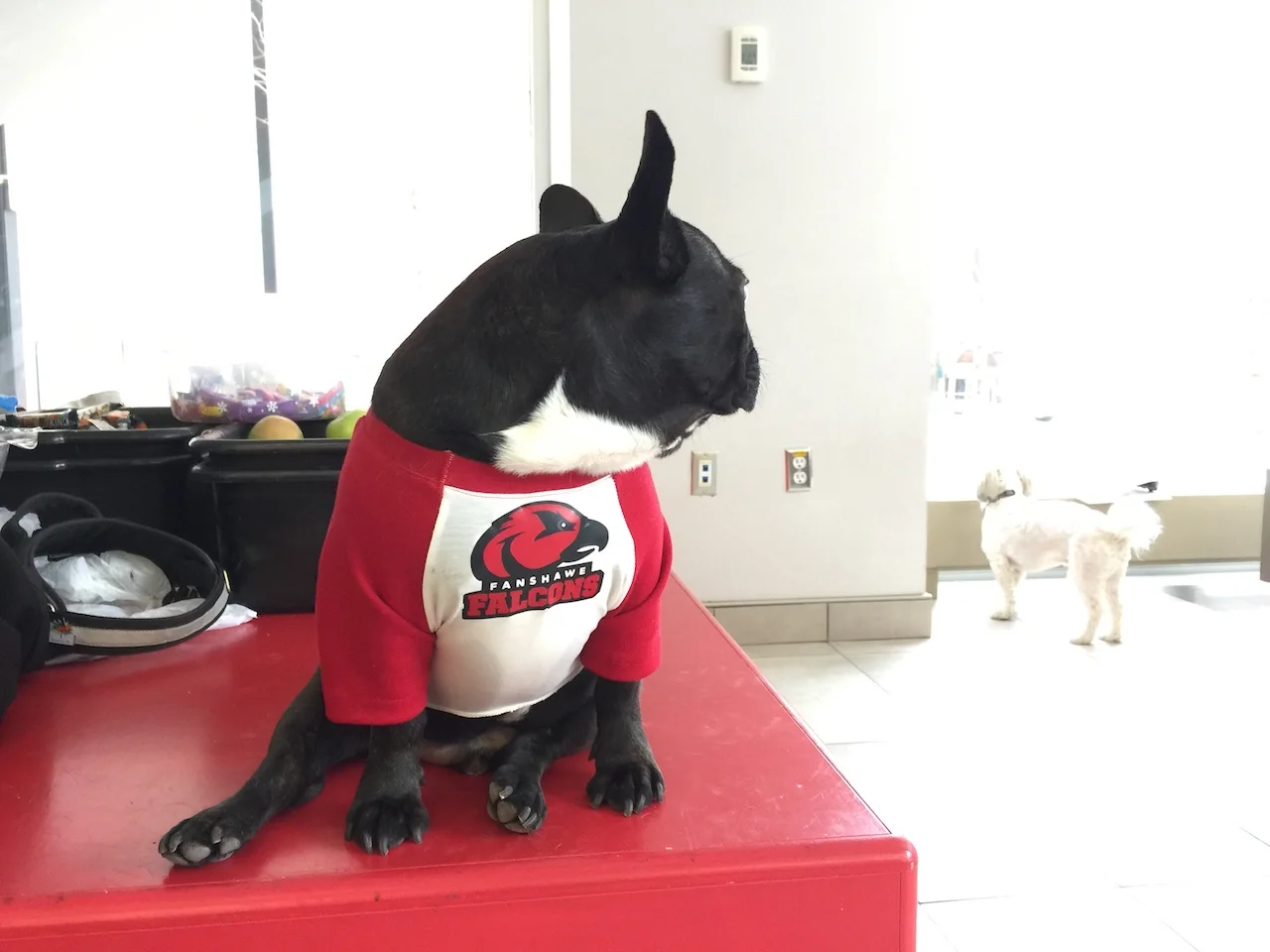 THURSDAY MORNINGTIMES... PLUS A HAPPYHEARTMISSION TO FANSHAWE COLLEGE!! (30 photos)