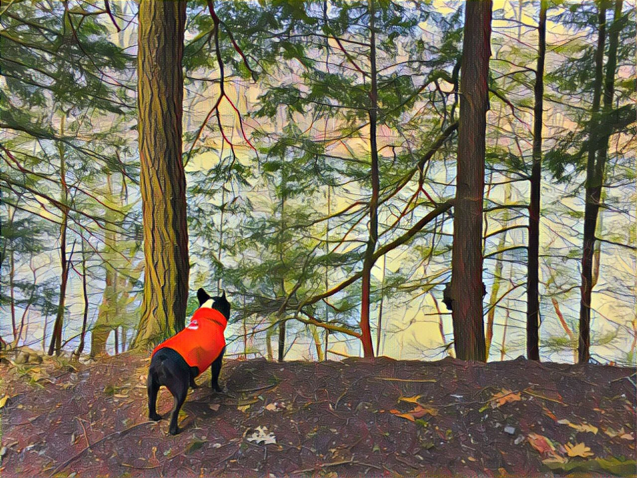 THURSDAY NIGHTYNIGHTIMES... PLUS POP'S PICTUREPAINTINGS!! (