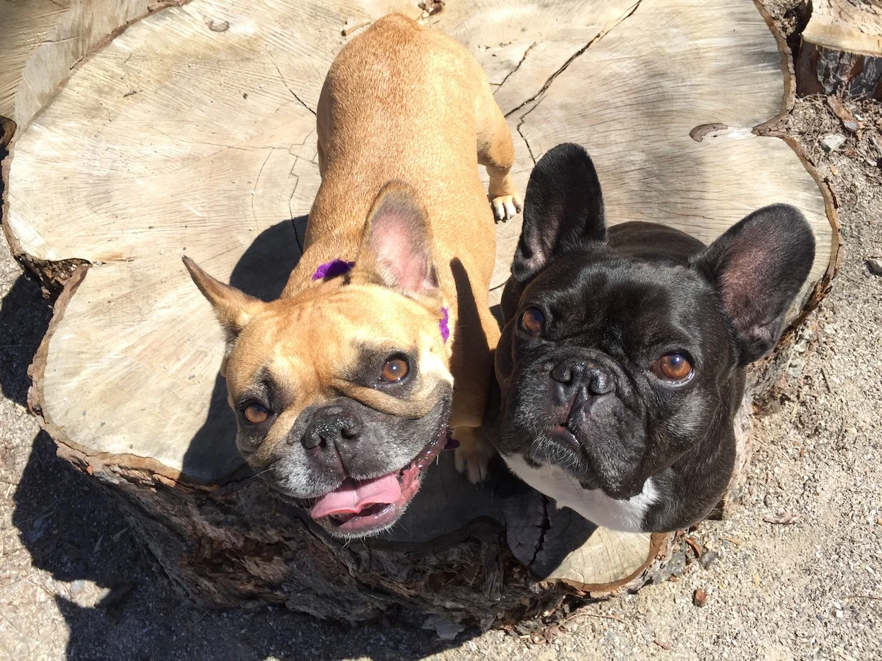 MONDAY MORNINGTIMES...PLUS A PARK WAYFARUP IN THE CEILINGSKY!! (40 photos) 