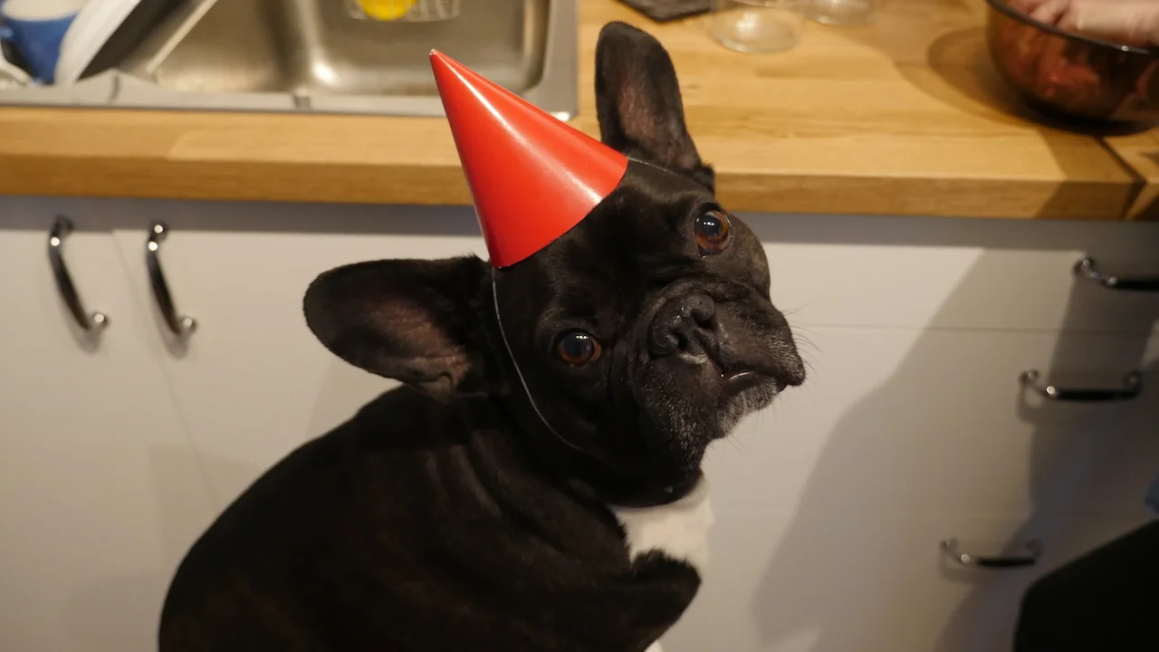 MONDAY MORNINGTIMES... PLUS MUM'S SHINYNEW BIRTHDAYTIMES CAKE RECIPE!! (50 photos) 