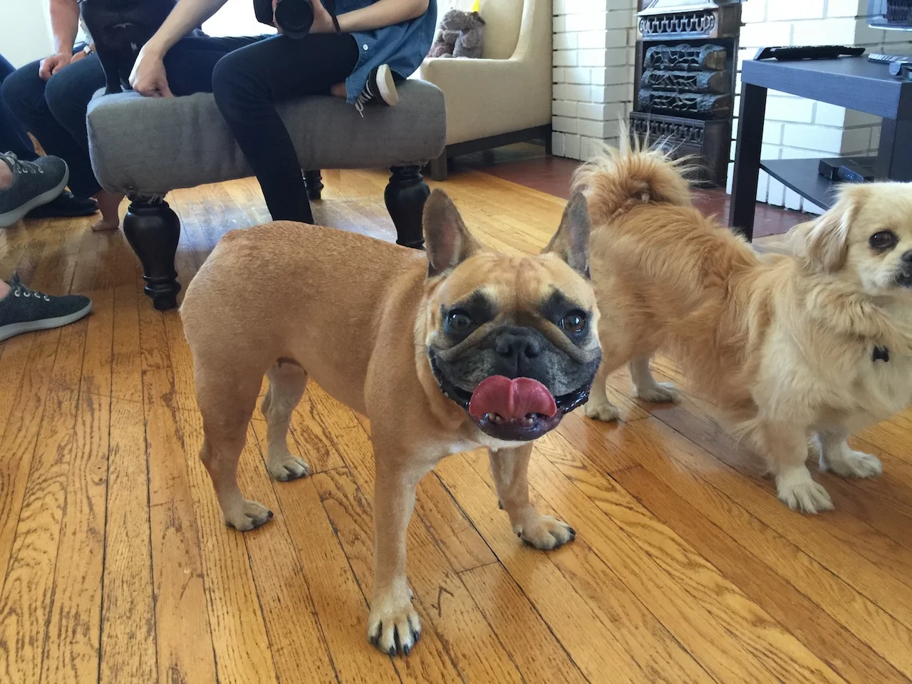 TUESDAY MORNINGTIMES... PLUS MIRABELLE'S BIRTHDAYTIMES!! (11 photos + video) 