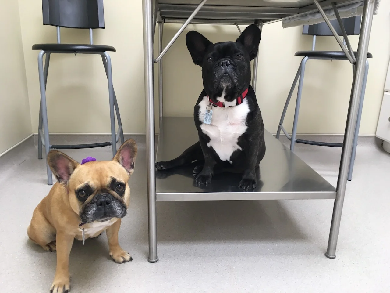 HAPPYMERRYWEEKENDTIMES, EVERYBUDDY!! (5 photos) 