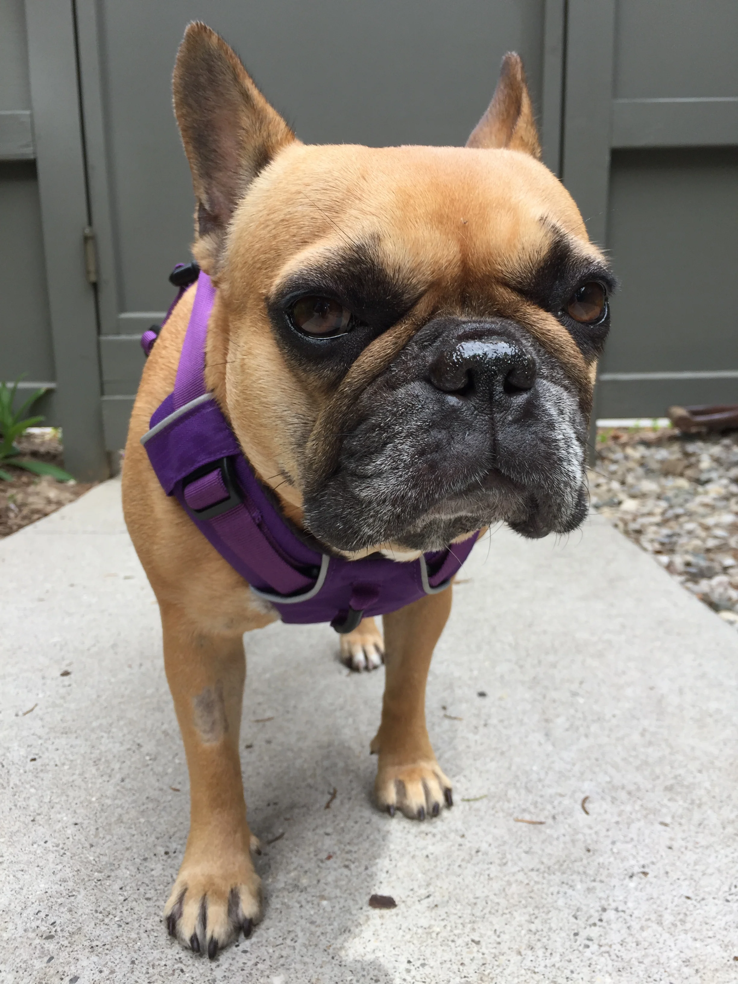 THURSDAY MORNINGTIMES... PLUS MIRABELLE'S CHECK-UP!! (3 photos)