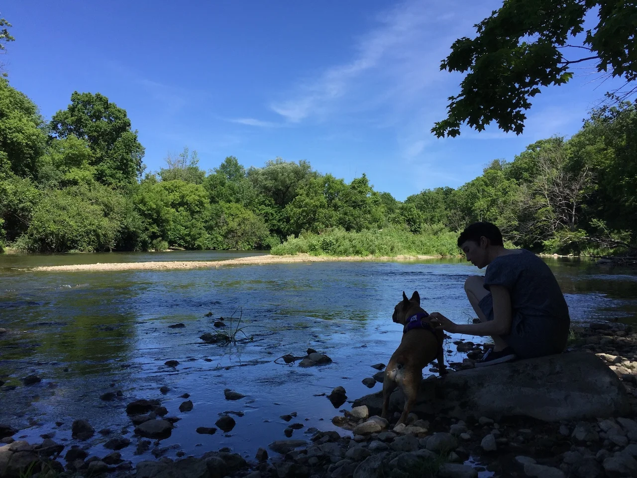 THURSDAY NIGHTYNIGHTIMES... PLUS WE TOTALLY SAW A DEERPERSON!! (9 photos + gallery) 