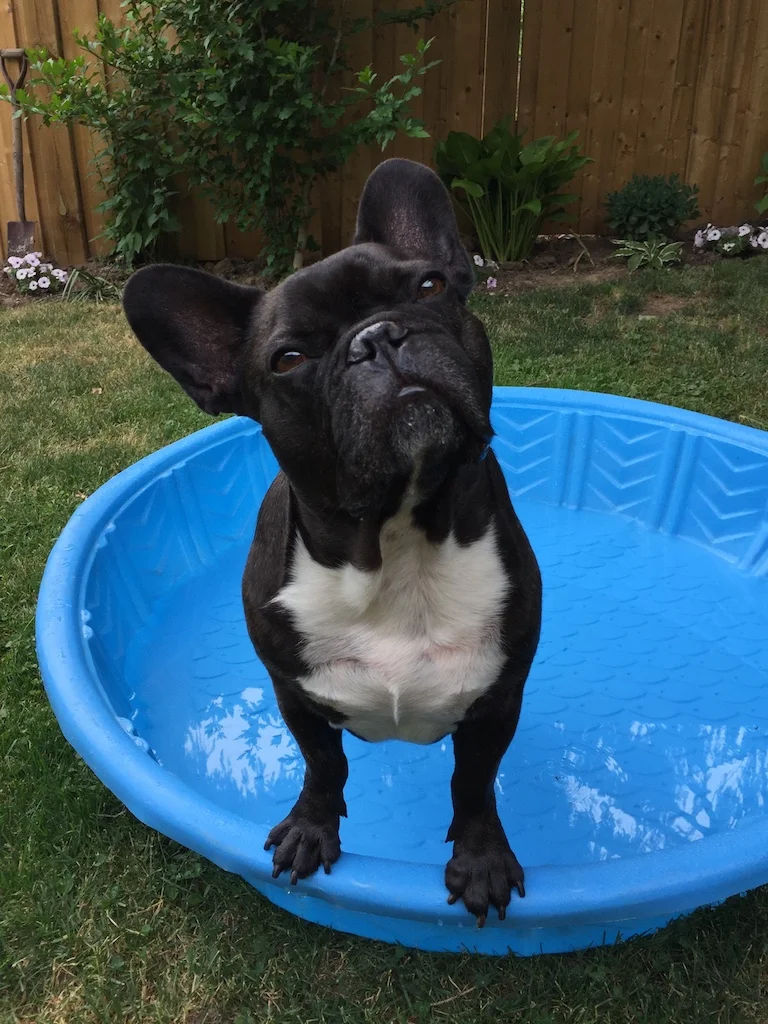 HAPPYMERRYWEEKENDTIMES, EVERYBUDDY!! (5 photos) 