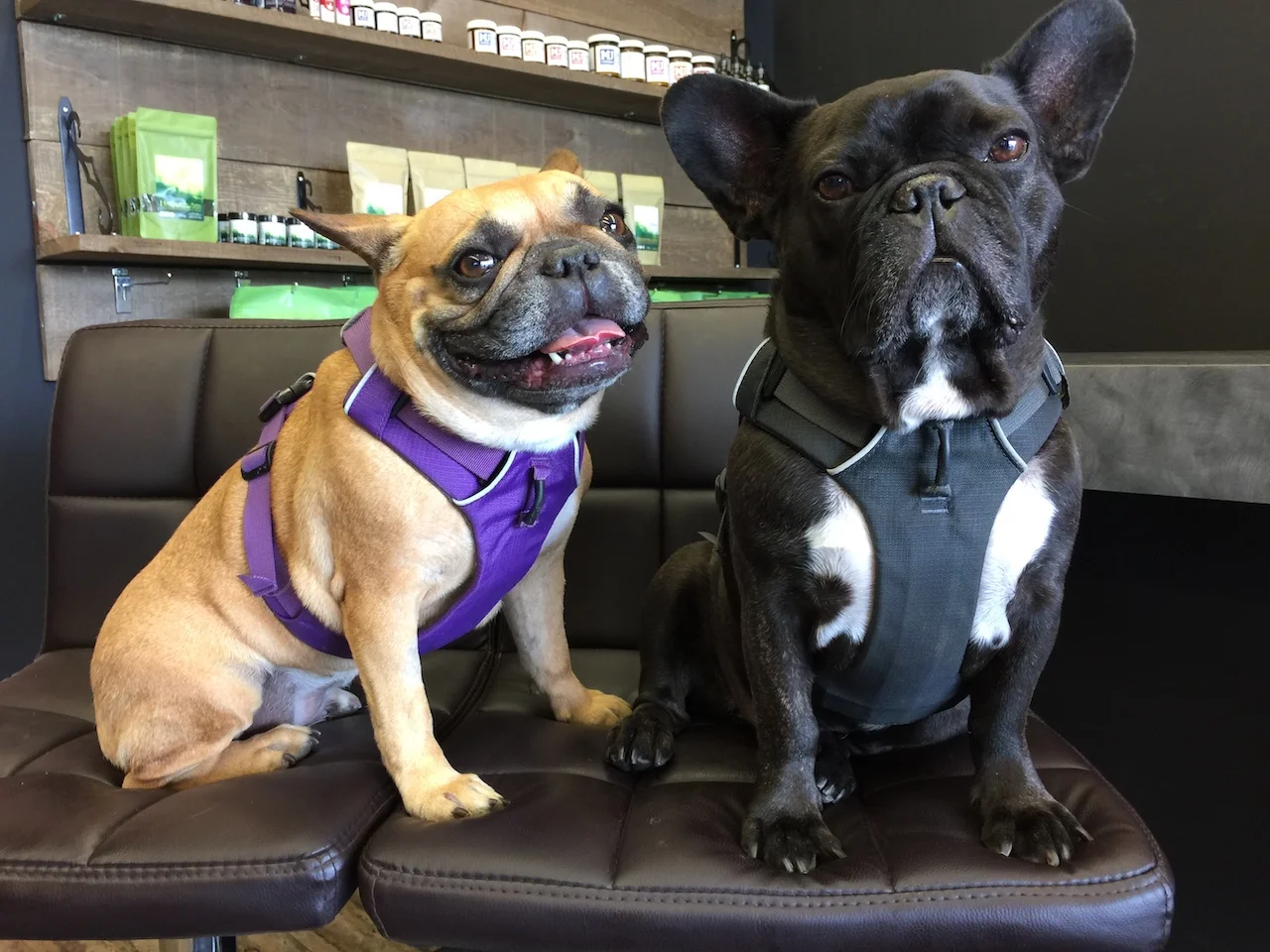 TUESDAY MORNINGTIMES... AT RAWSOURCE YUMMYSUMMY STORE WITH MIRABELLE!! (12 photos)