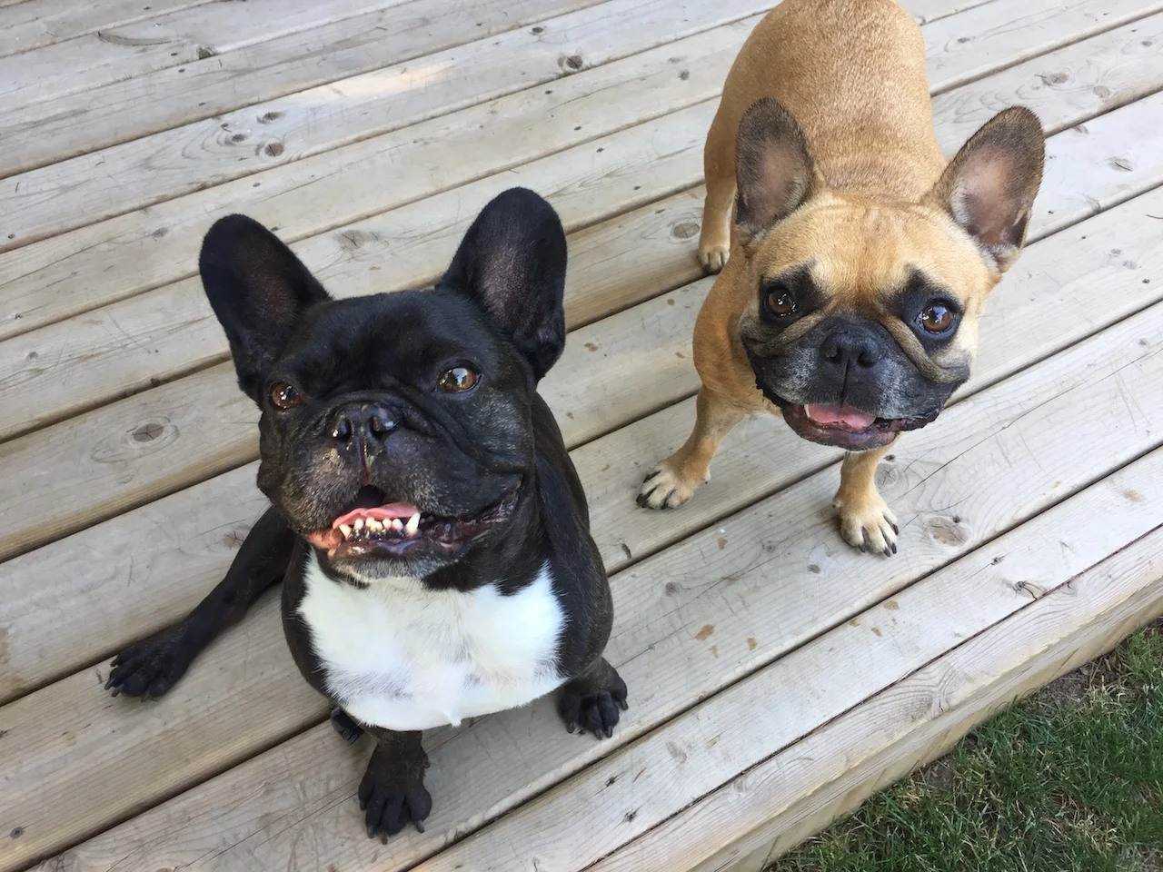 TUESDAY MORNINGTIMES... 'FORE IT GETS TOO STINKYWARM!! (14 photos) 