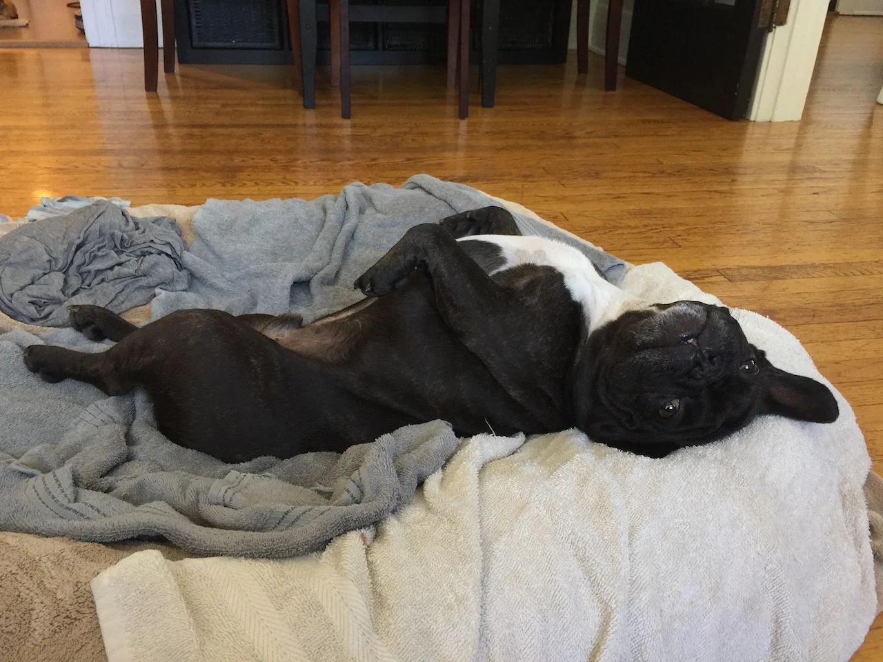 HAPPYMERRYWEEKENDTIMES, EVERYBUDDY!! (13 photos)