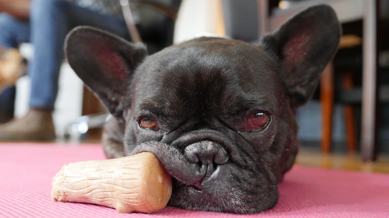 HAPPYMERRYWEEKENDTIMES YOU GUYS!! (3 photos) 