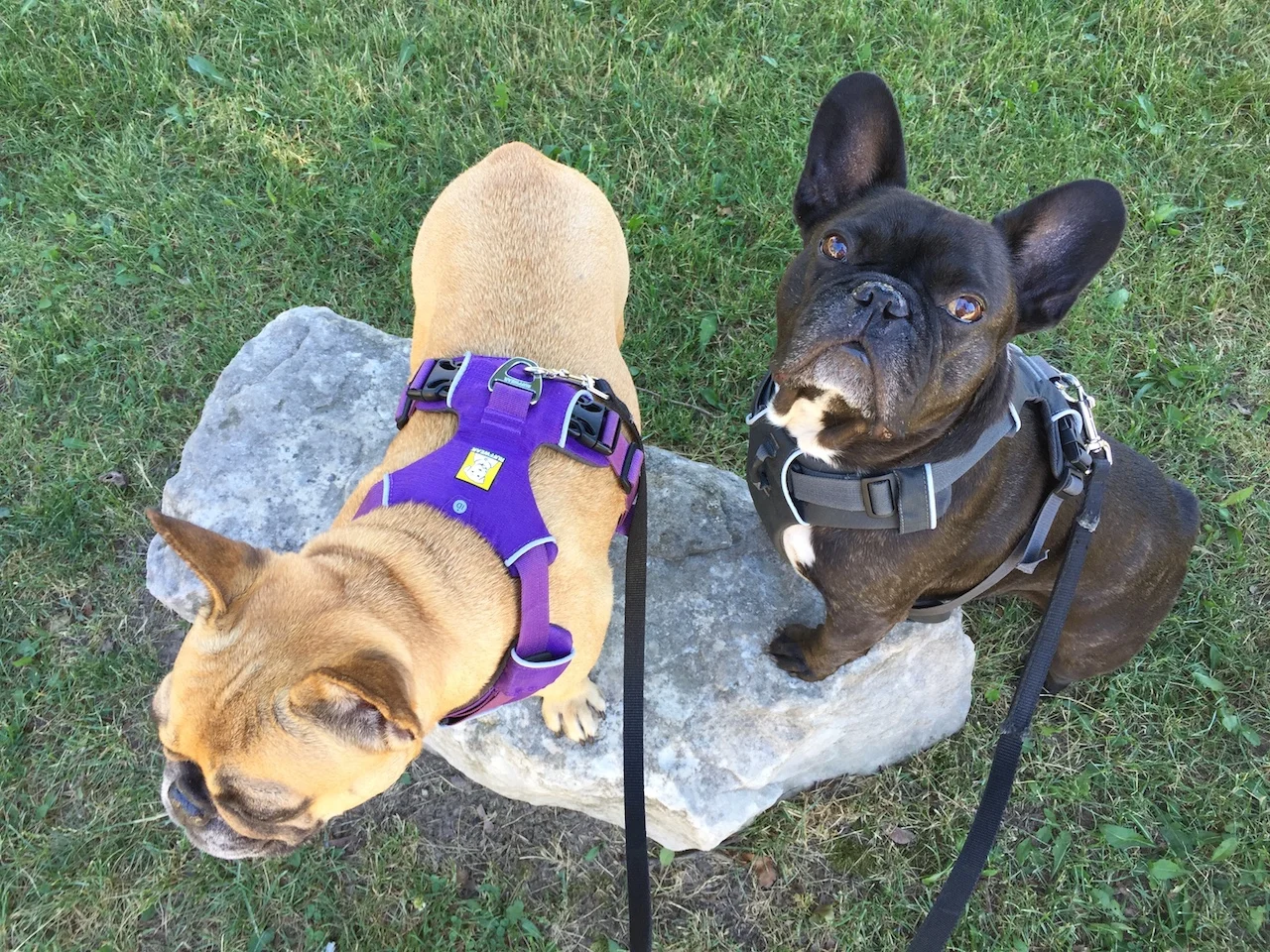 FRIDAY MORNINGTIMES... PLUS SOME BIG NEWS IS COMING, GUYS!! (9 photos)