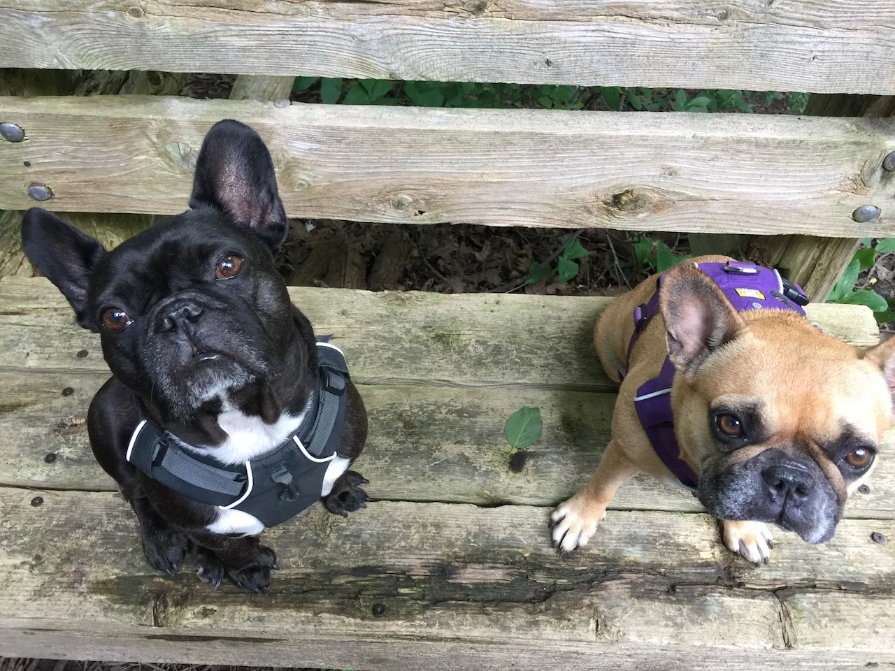 THURSDAY MORNINGTIMES... PLUS DOOP DEE DOOPING FOR SOOPERLONGTIMES WITH YOU!! (38 photos) 