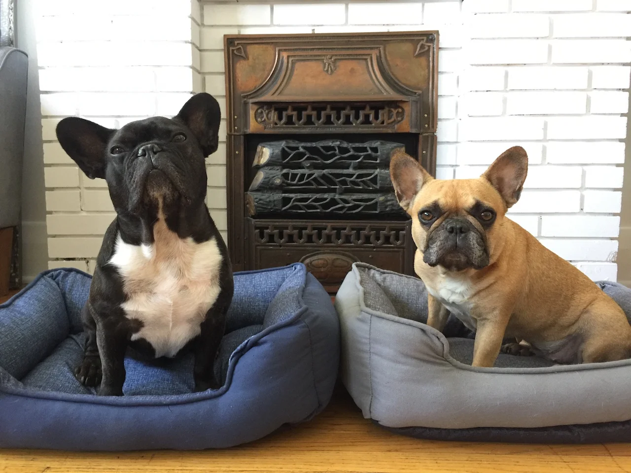 WEDNESDAY MORNINGTIMES... PLUS SHINYNEW BOXBEDS, GUYS!! (9 photos) 