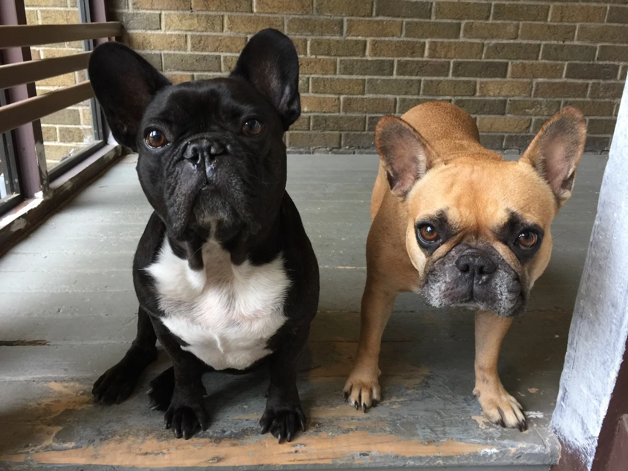 TUESDAY MORNINGTIMES... PLUS THE CROOKED HILL IS GETTING FIXERATED, GUYS!! (12 photos) 