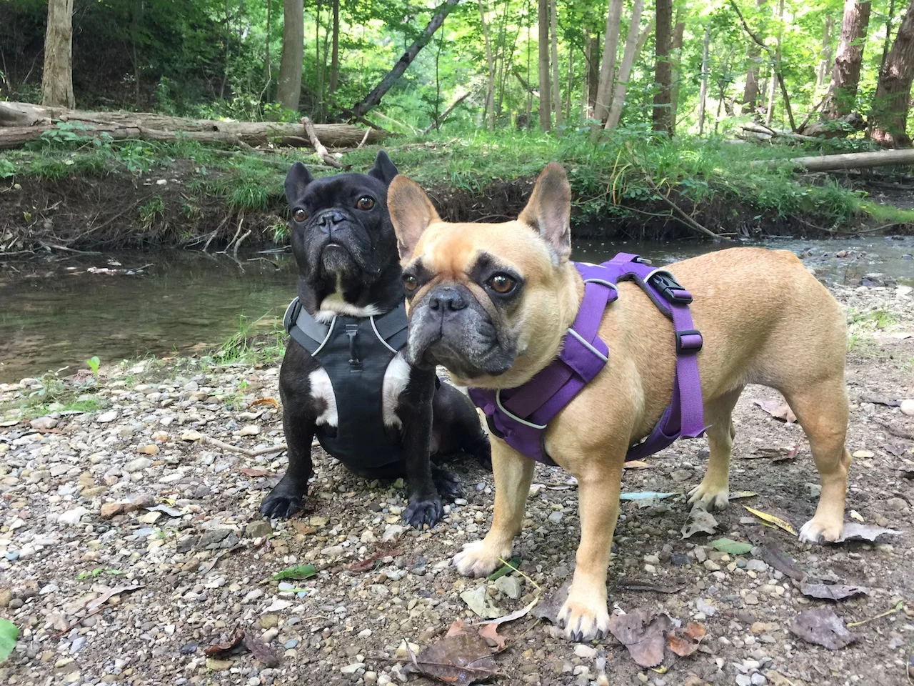 HAPPYMERRYLABOURDAYWEEKENDTIMES!! (3 photos + video) 