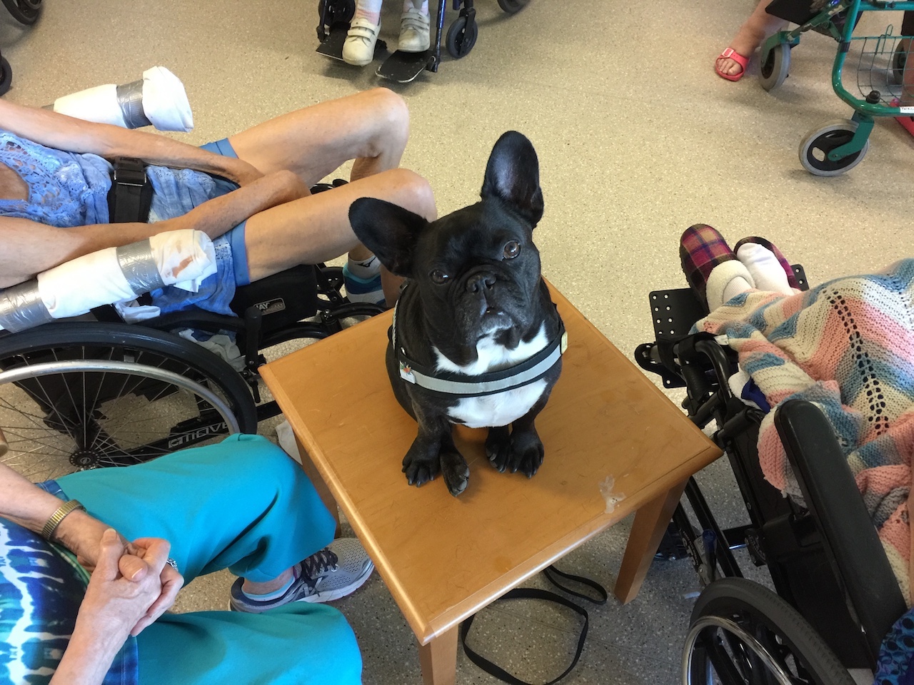 HOLIDAY MONDAYMORNINGTIMES... PLUS A HAPPYHEARTMISSION!! (13 photos) 