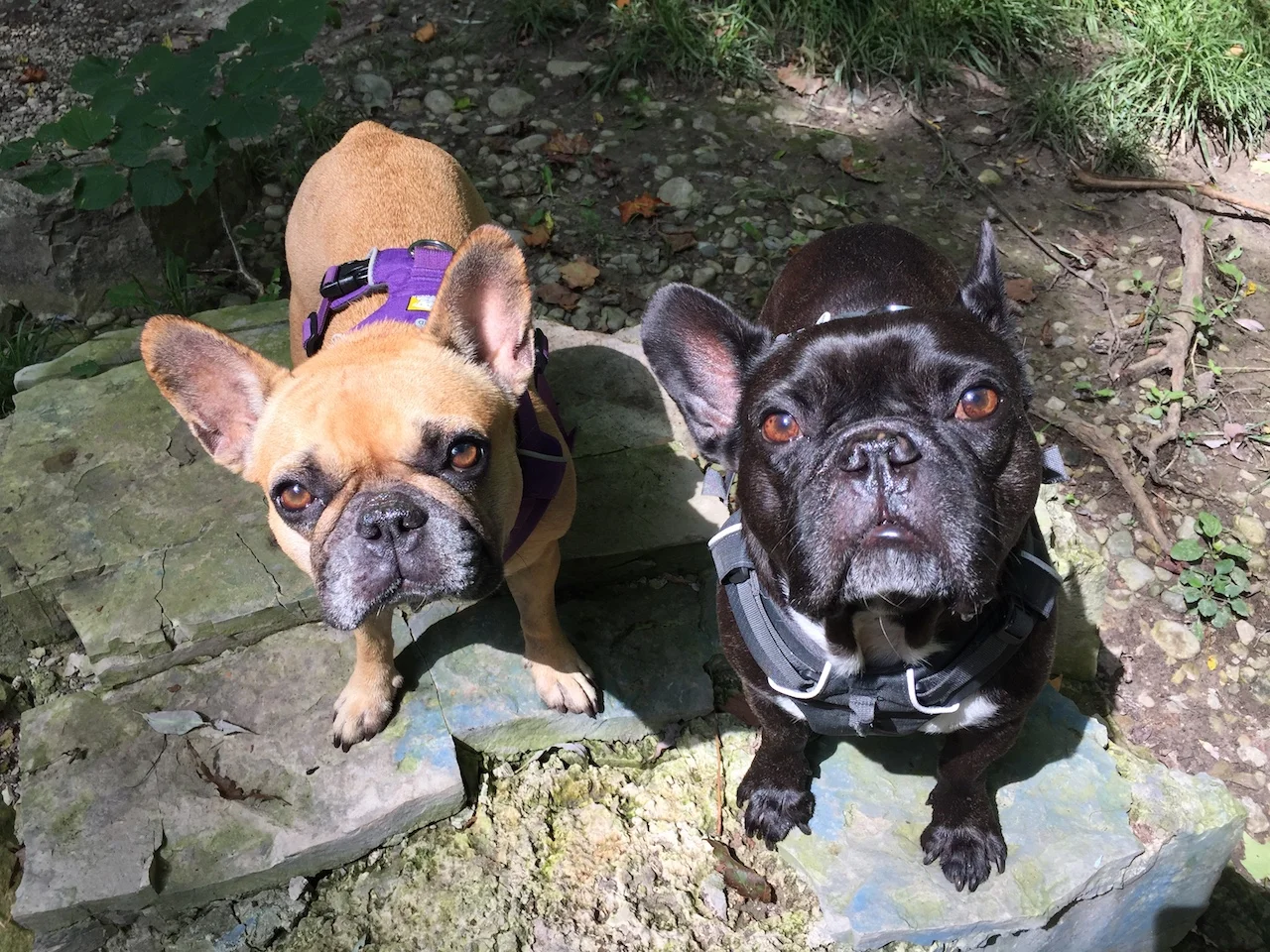 TUESDAY MORNINGTIMES... OUT IN THE WILDERWILD!! (9 photos) 