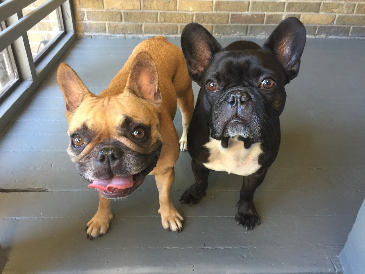 TUESDAY MORNINGTIMES... ON THE SHINYNEW CROOKED HILL!! (14 photos) 