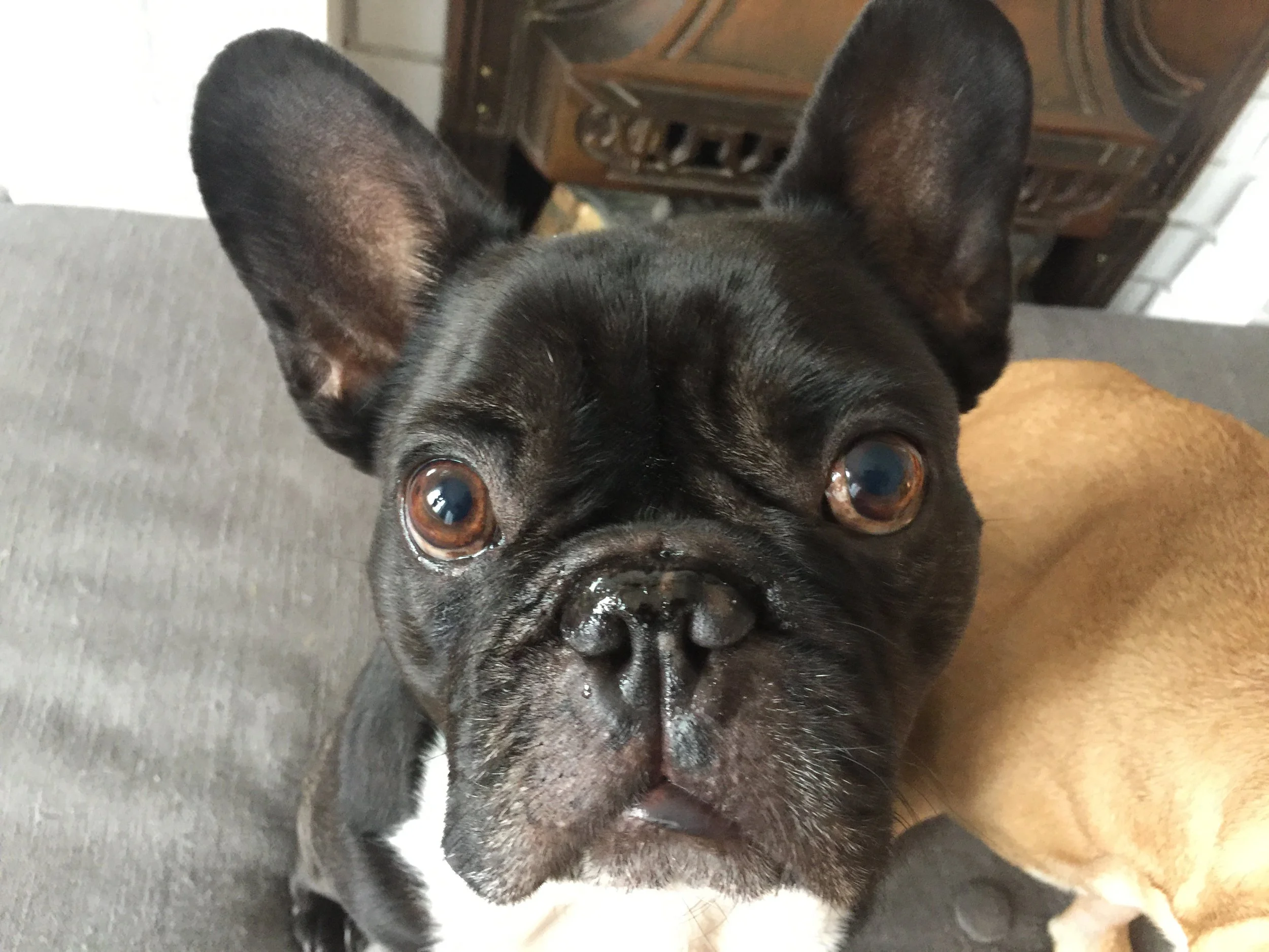 HAPPYMERRYNEWYEARTIMES, EVERYBUDDY!! (52 Photo Megapost!)