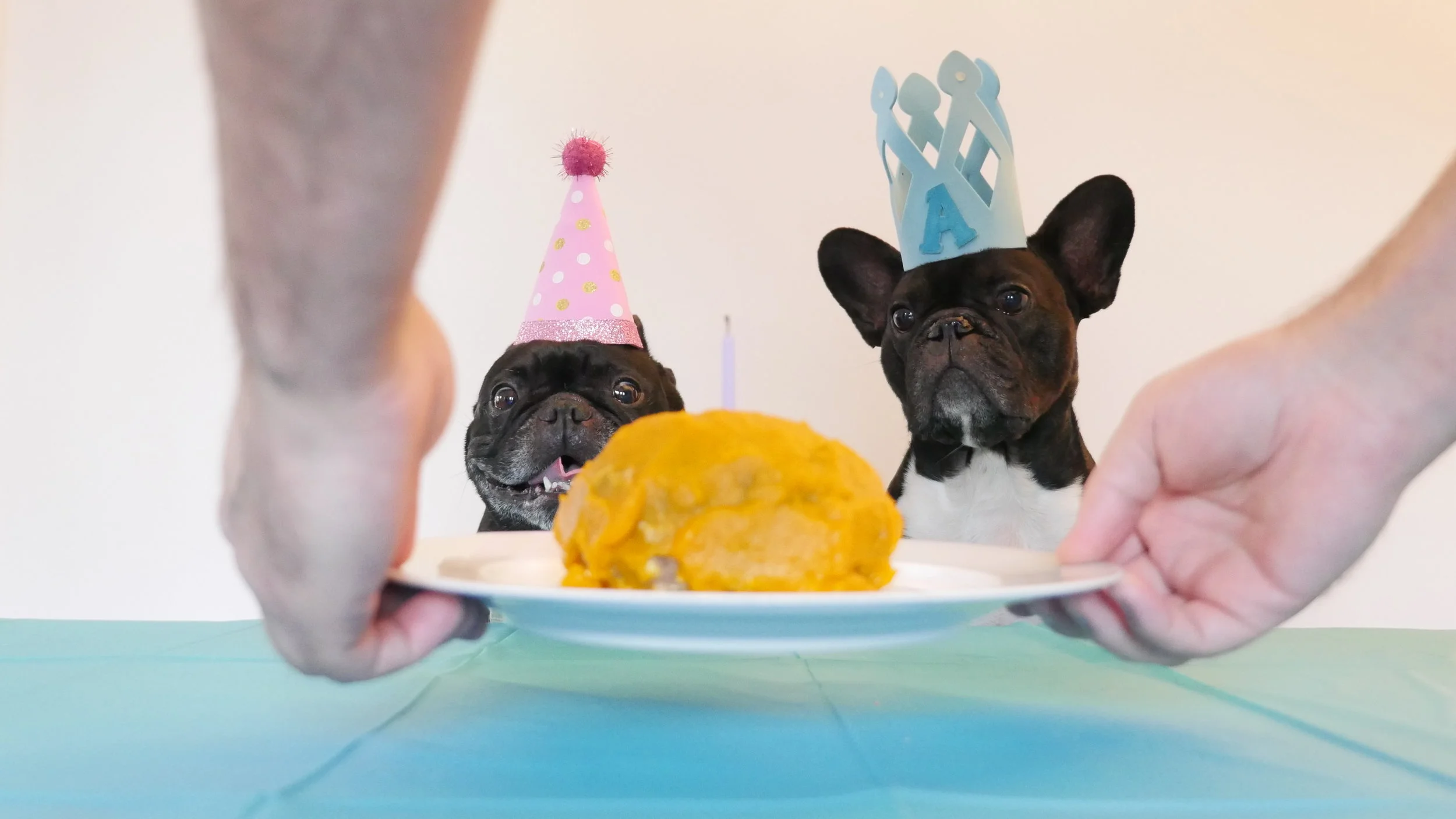 HAPPYMERRYBIRTHDAYTIMES... FOR ME PLUS COUSIN ELLIE, GUYS!! (50 photo sooperstory)