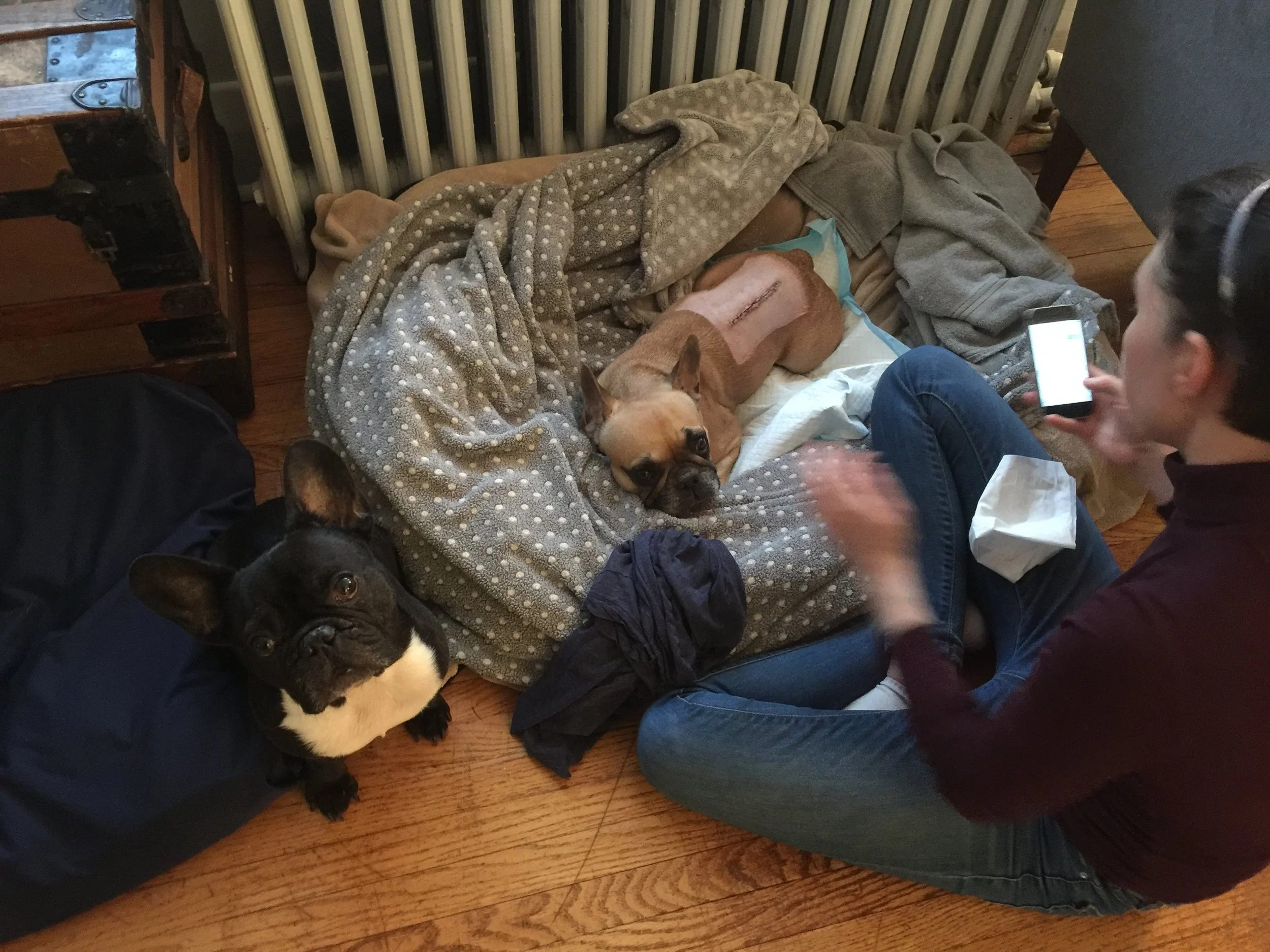 Archie was VERY protective of Mirabelle and was also incredibly gentle with her. 😊❤️😊❤️😊❤️