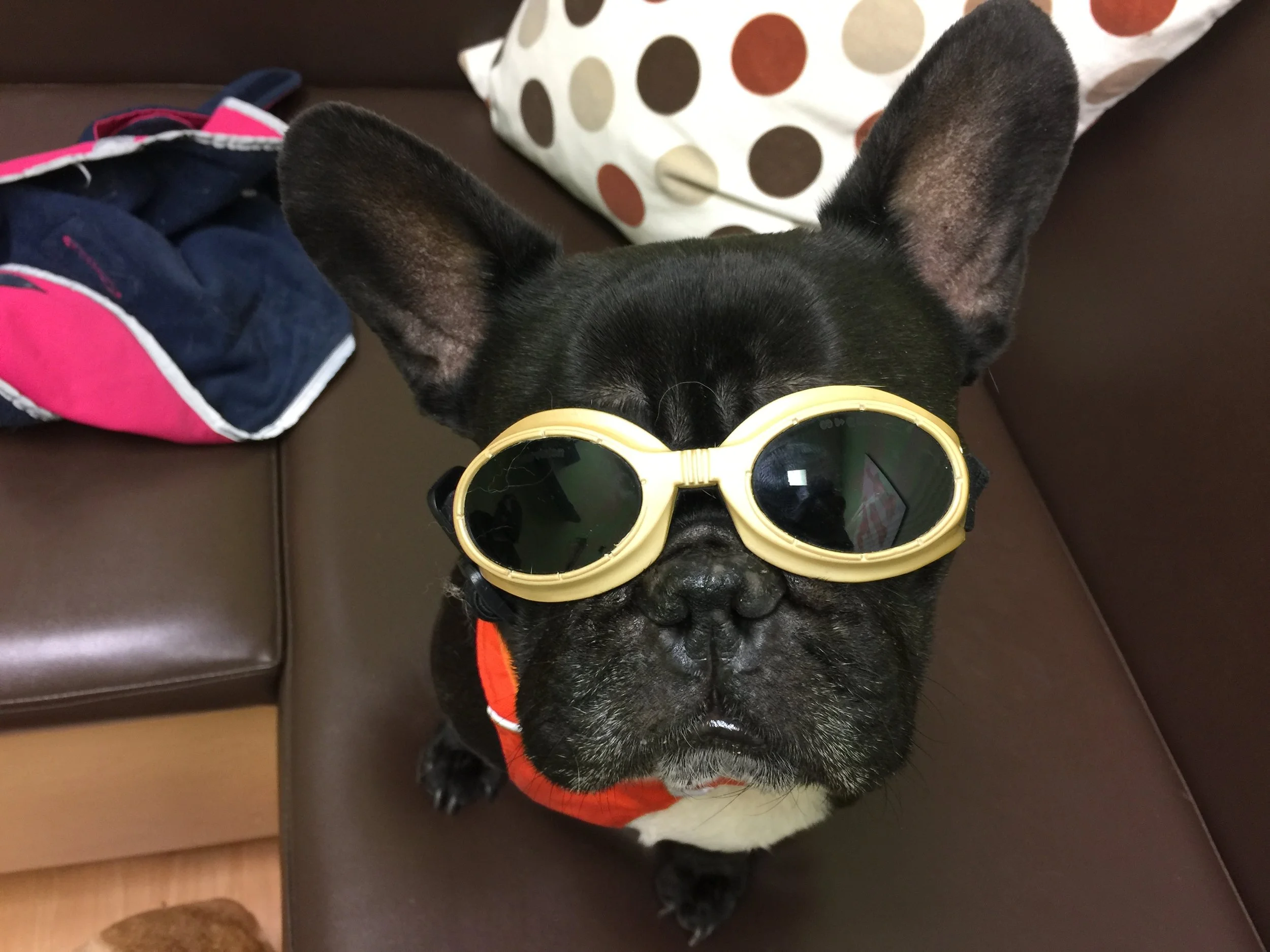 MIRABELLY'S FIRSTEST DAYTIMES AT HEALERATING SCHOOL!! (22 photos + 1 gallery) 