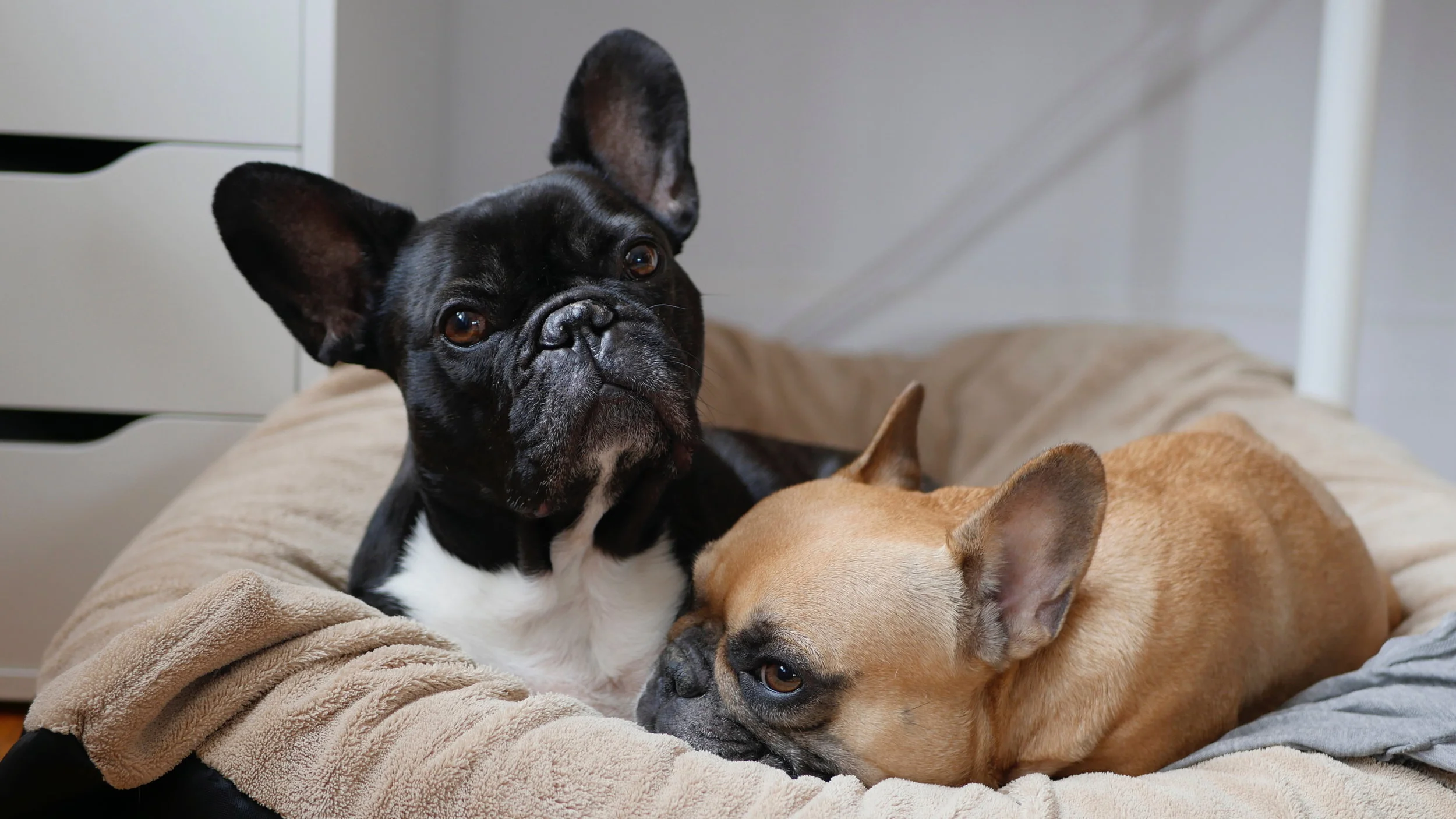 HAPPYMERRYWEEKENDTIMES YOU GUYS!! (8 photos) 