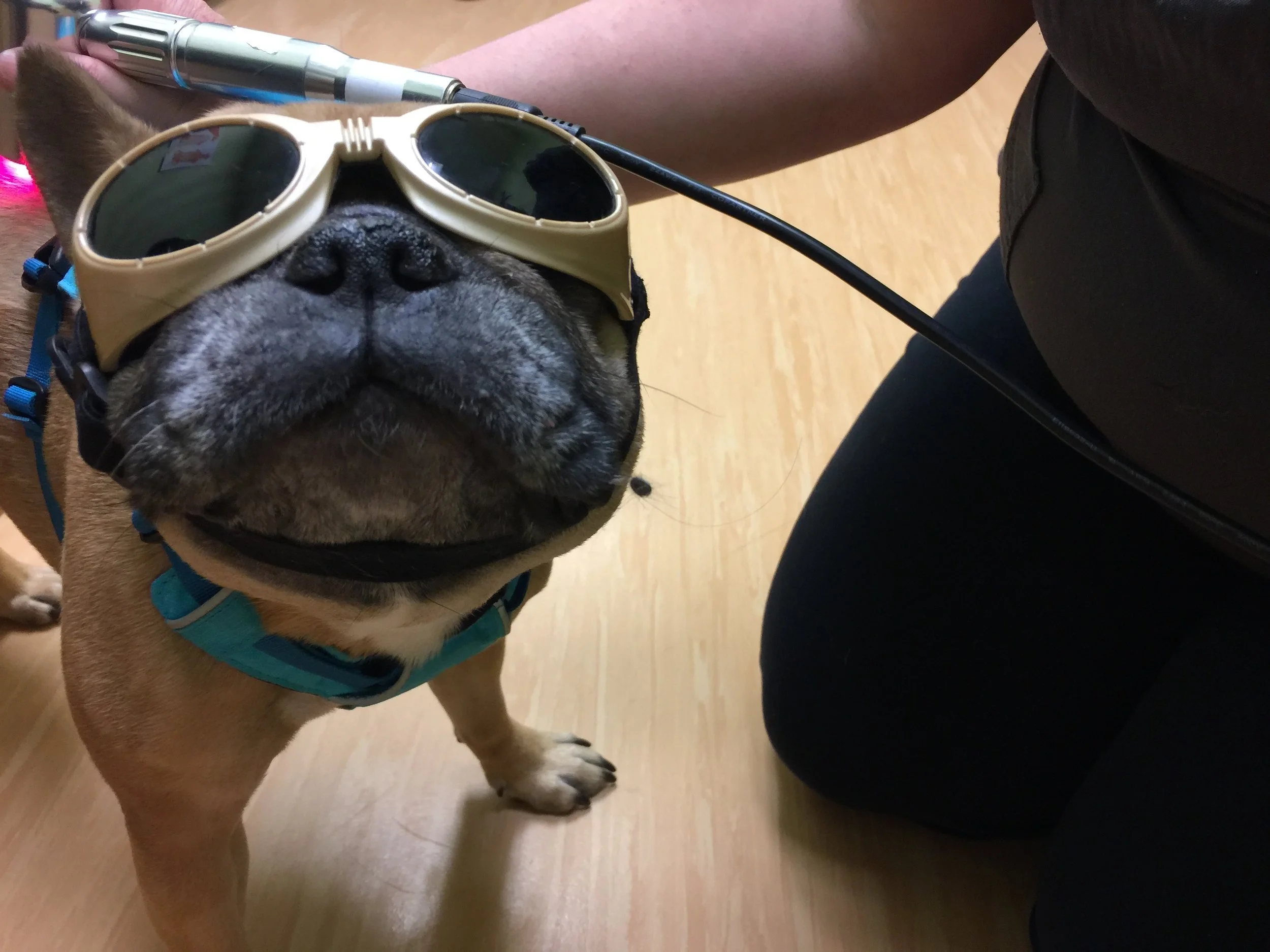 MIRABELLY'S PICTURESTORY THAT IS THE BESTEST 'CUZ THERE IS ONLY MIRABELLY INNIT!! (18 photos)