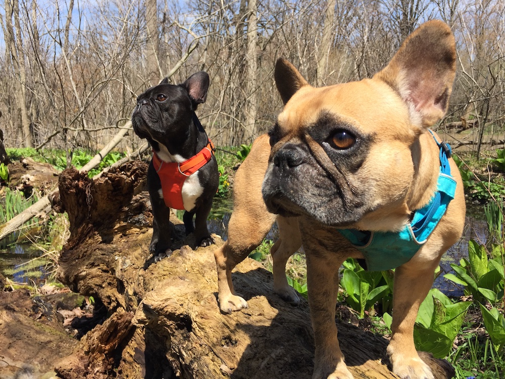 LET'S DO SOME HANG-OUTERY WITH THE NATUREMAMA, YOU GUYS!! (15 photos + galleries)