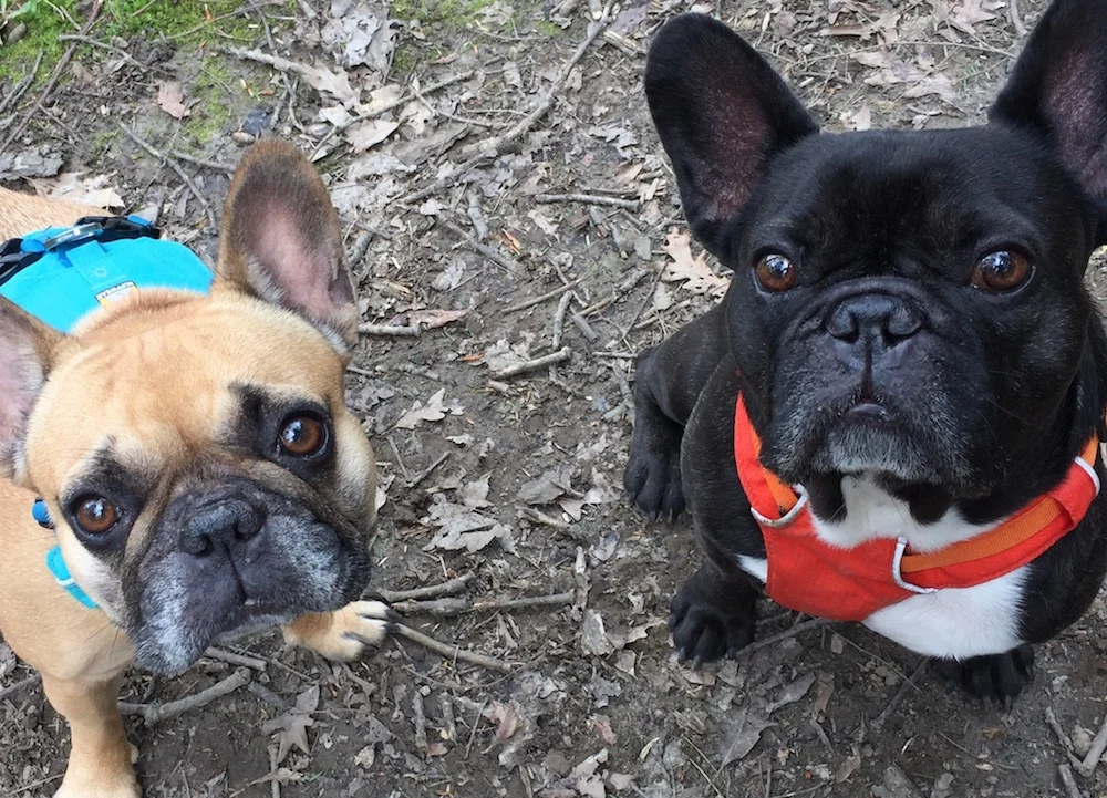 LET'S DO TALKINGTIMES 'BOUT PUTTING HAPPY IN HEARTS, GUYS!! (12 photos)