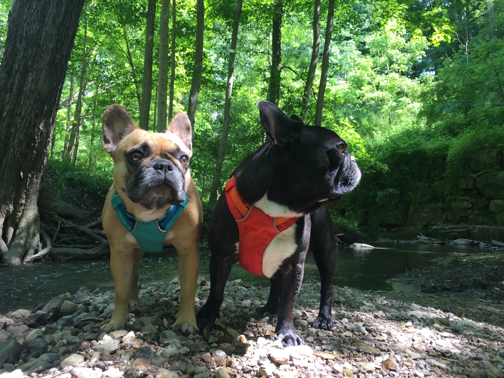 GUYS!! GUYS!! IT IS HAPPYHEARTHUGS DAY!! (19 photos + gallery))