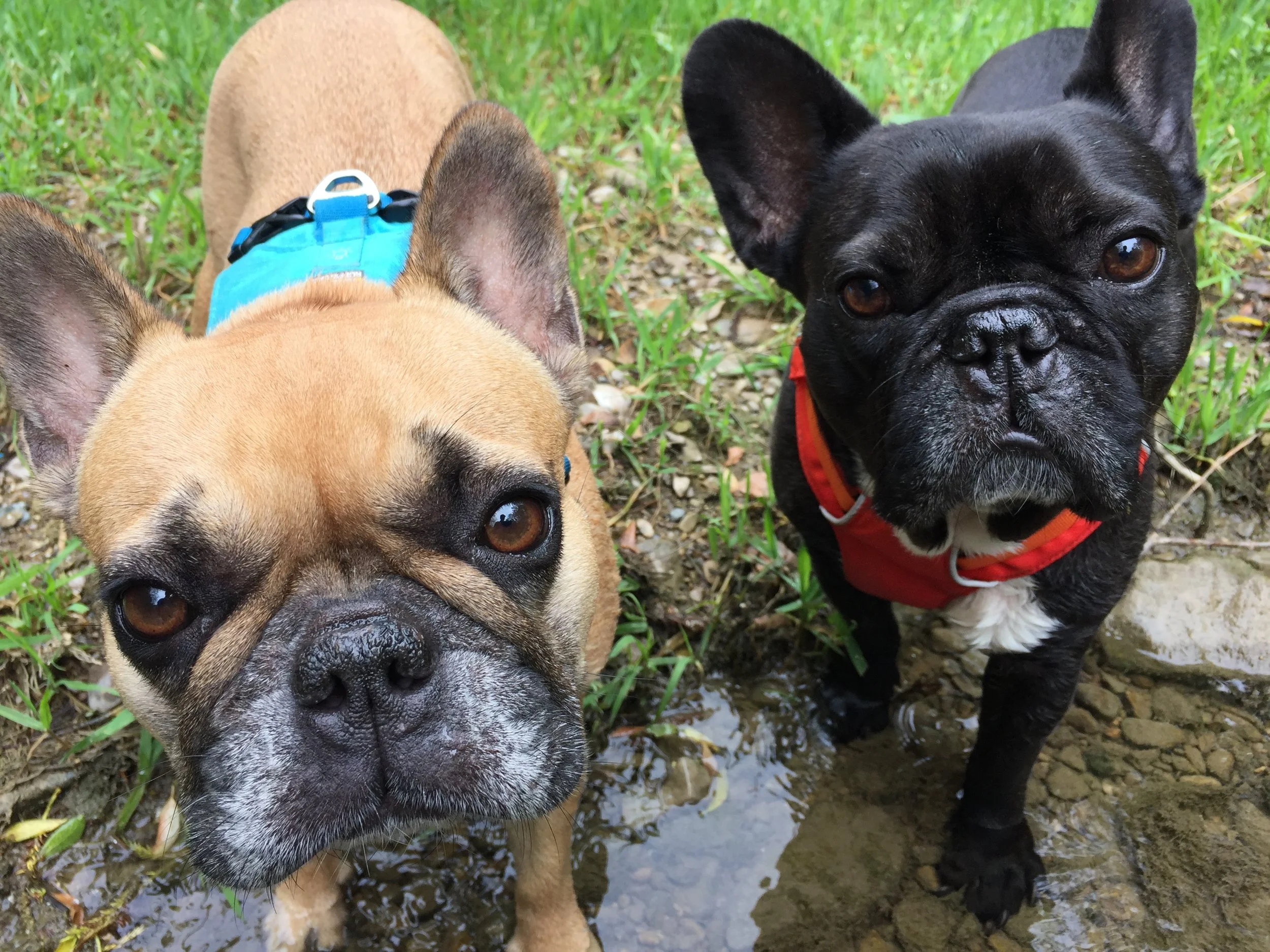 HAPPYMERRYMONDAYTIMES, EVERYBUDDY!! (23 photos + video) 