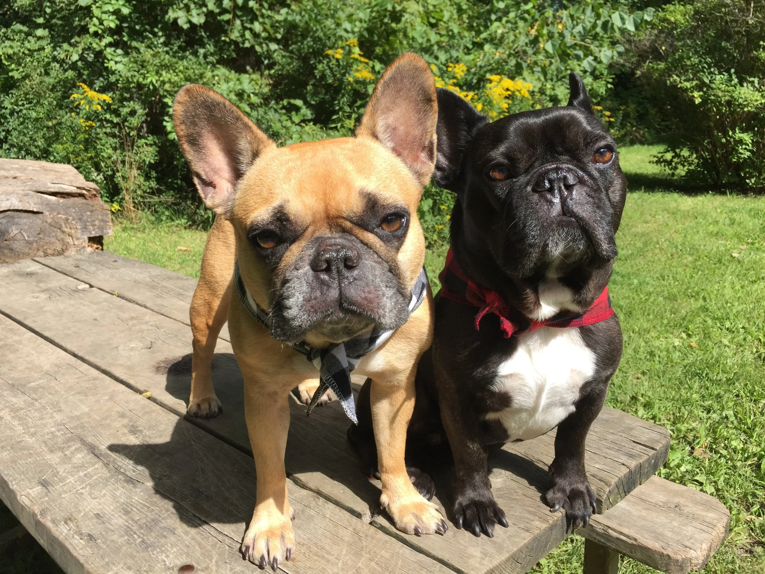 IT IS WORLD SUICIDE PREVENTION DAYTIMES, GUYS!! (50 photos)