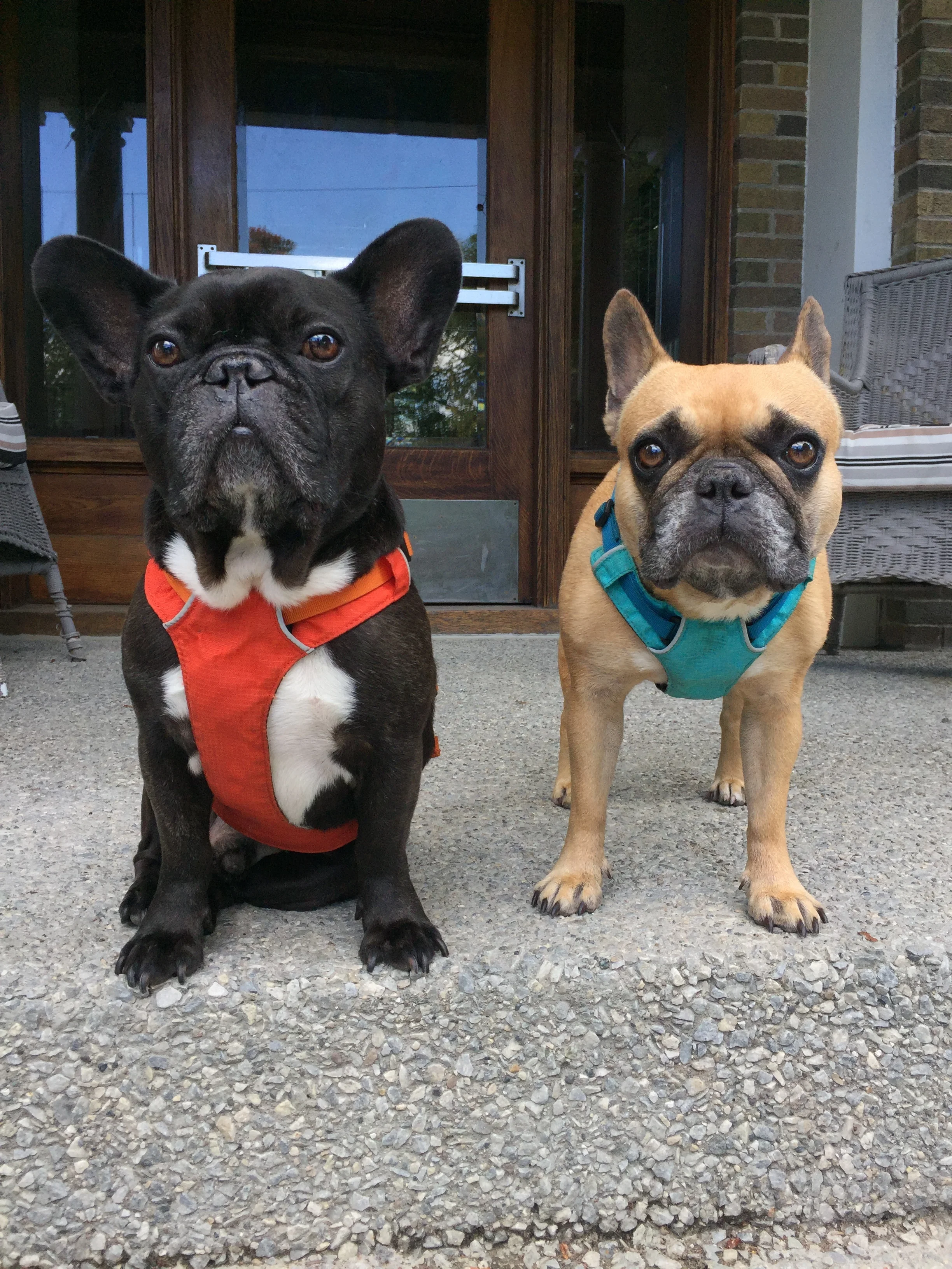 IT IS TOTALLY A BEAUTIFULLISH DAYTIMES, YOU GUYS!! (40 photos) 