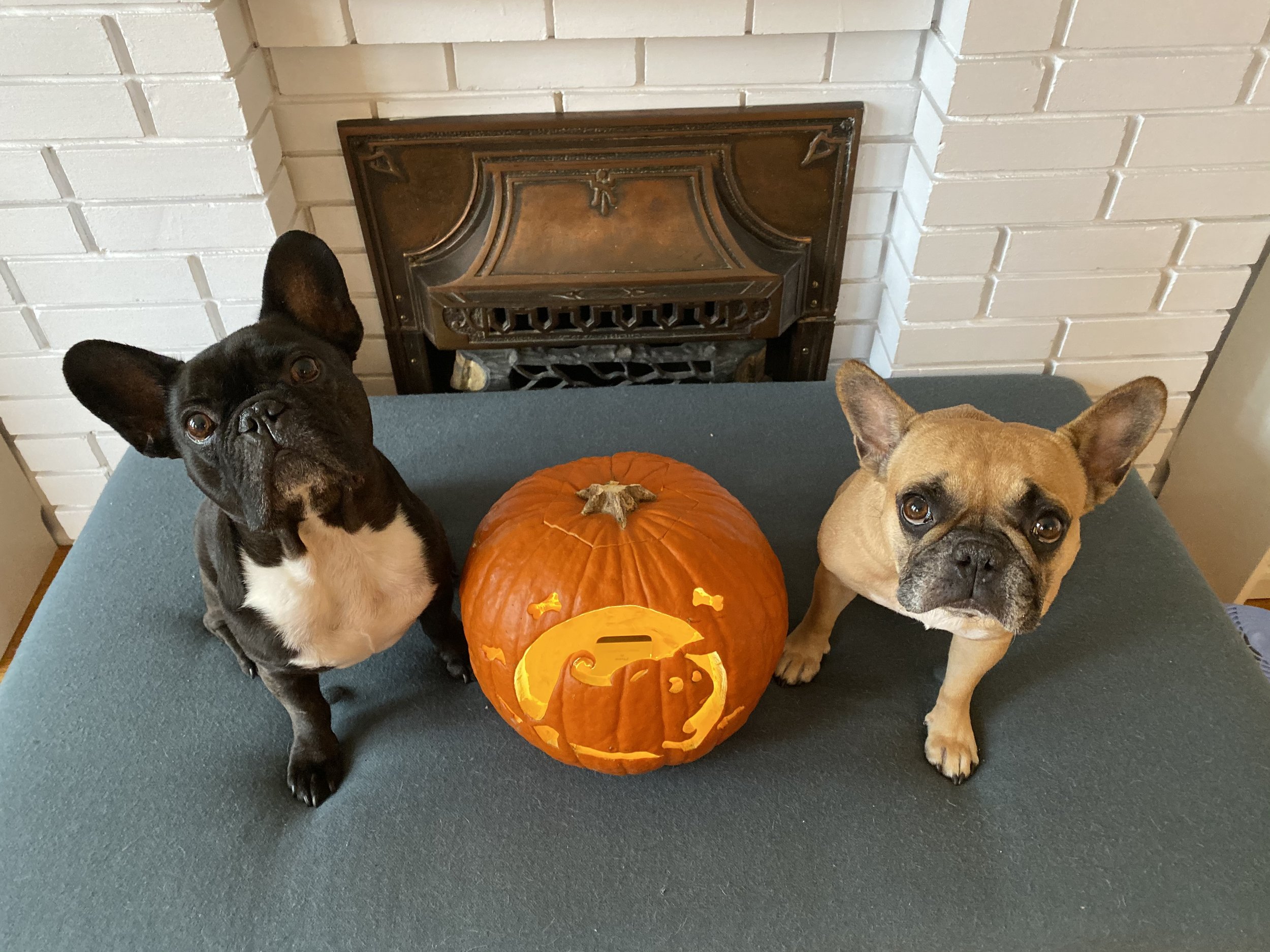 HAPPYMERRY HALLOWEENINGTIMES, EVERYBUDDY!! (50+ photos) 