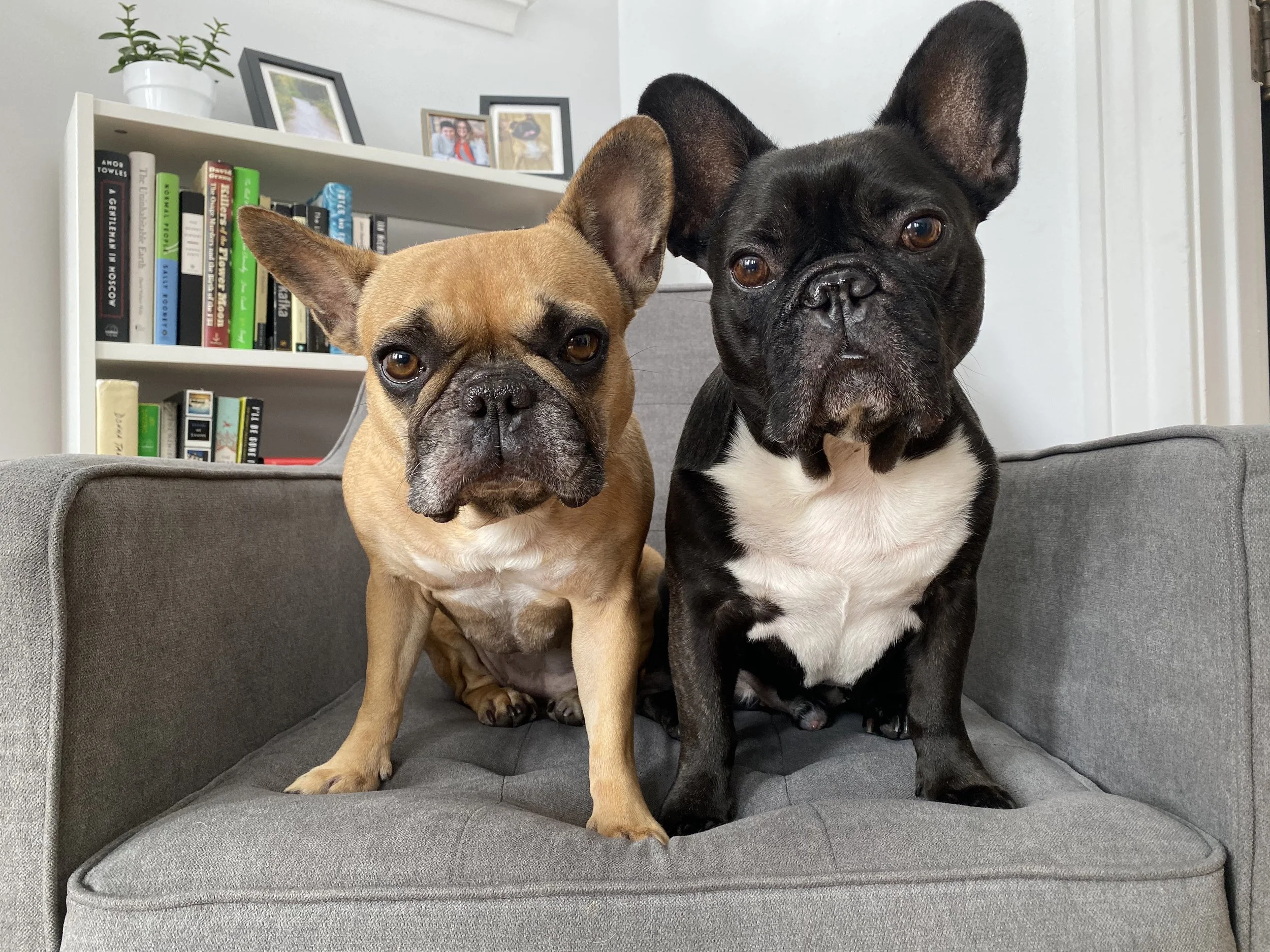 IT'S WORLD KINDNESS DAY, EVERYBUDDY!! (40+ photos) 