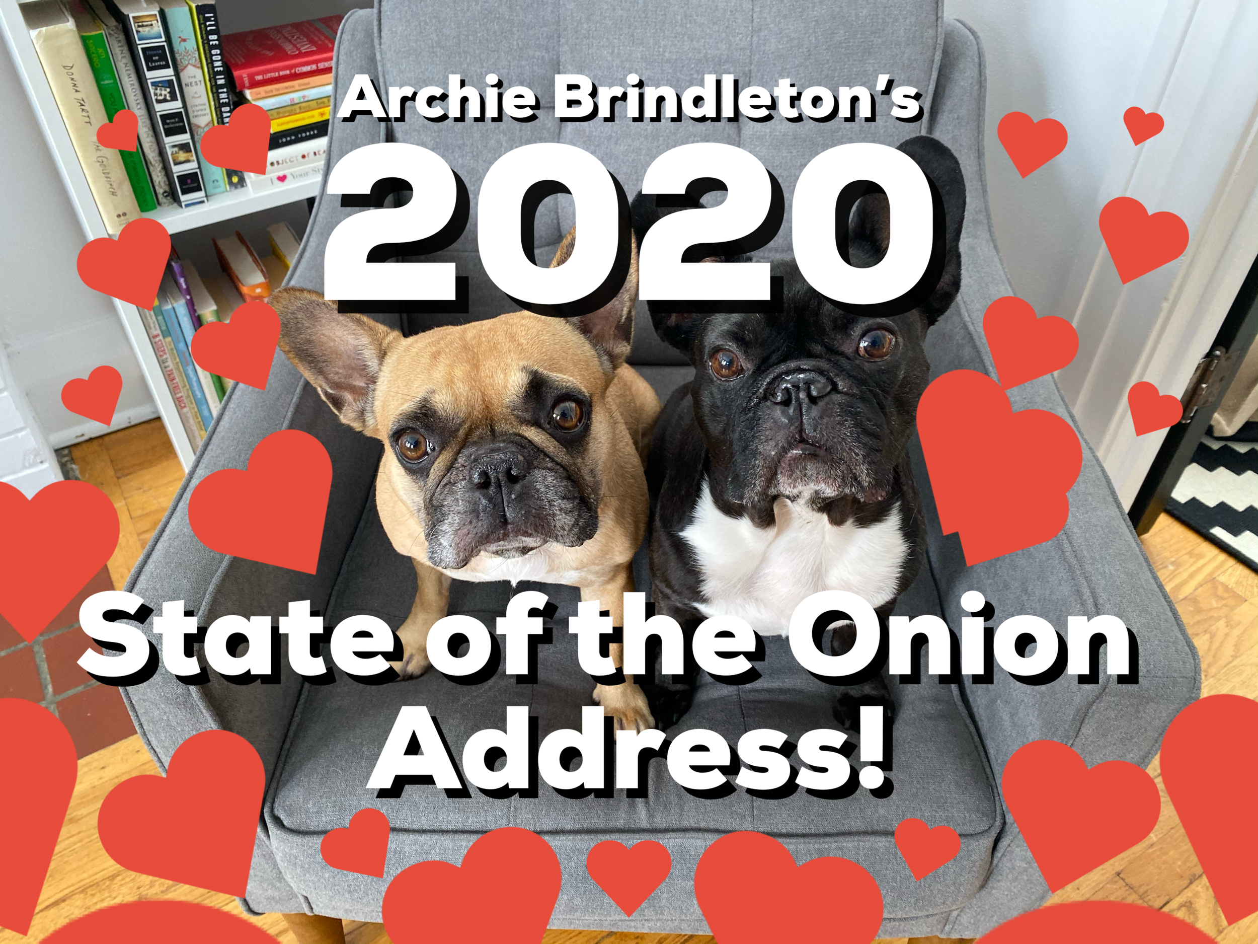 2020 STATE OF THE ONION ADDRESS (10 photos + MUM + POP!) 