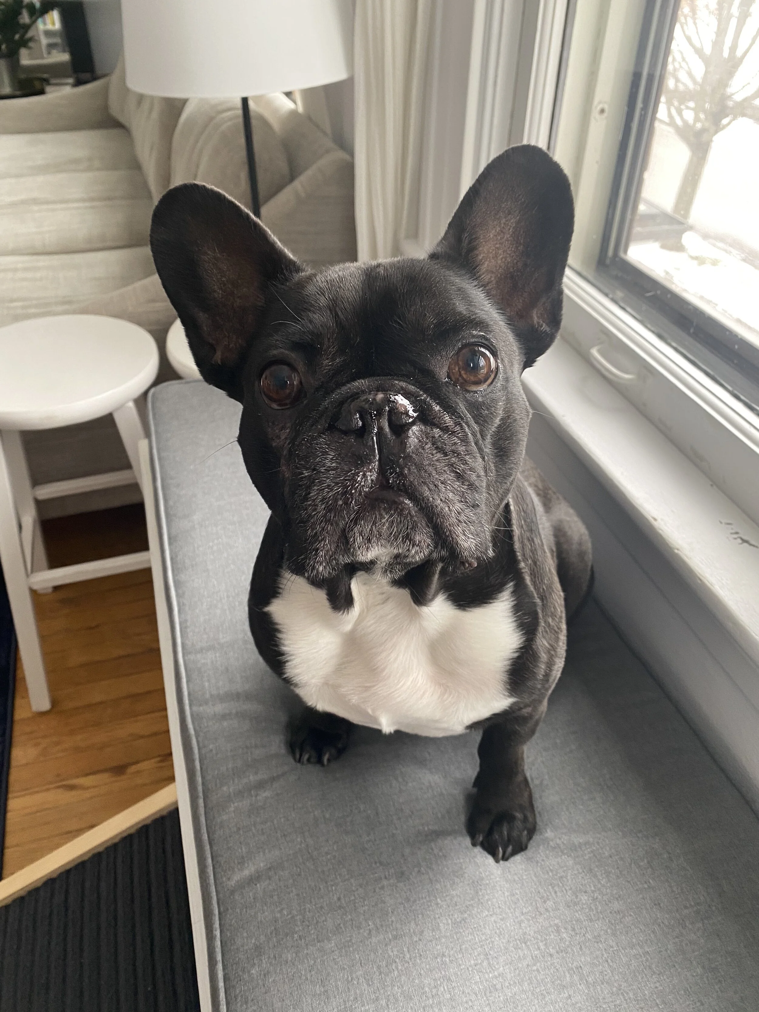 GOODMORNINGTIMES, EVERYBUDDY!! (25 photos) 