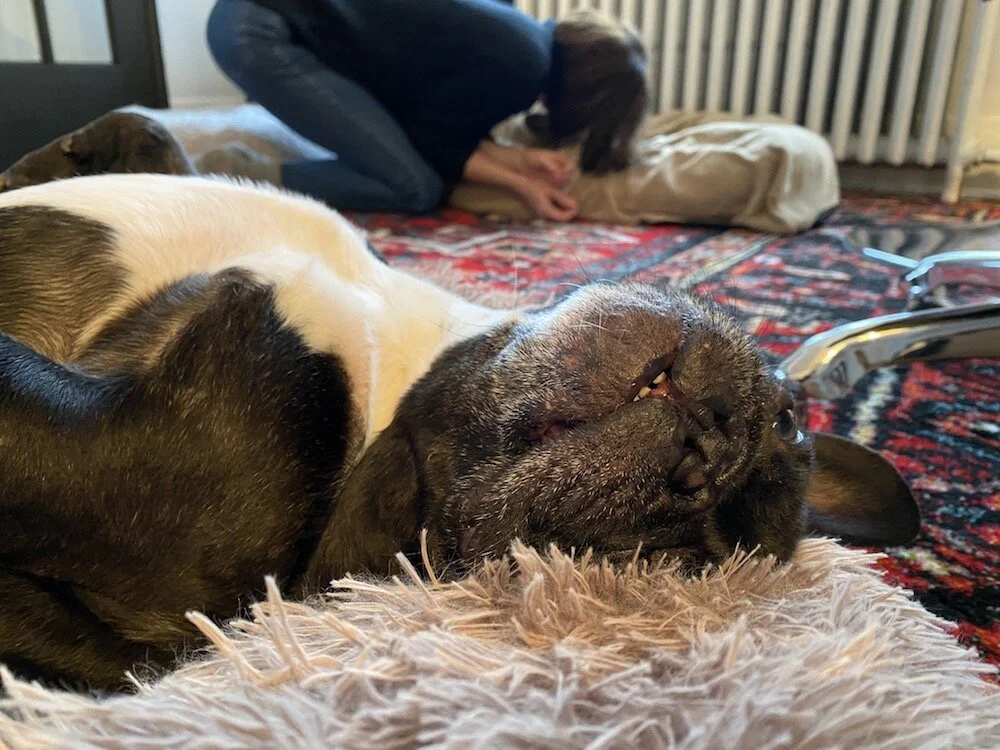 LET'S EXPLORADVENTURE INNA SOOPERSECRET PARK, GUYS!! (80 photos)