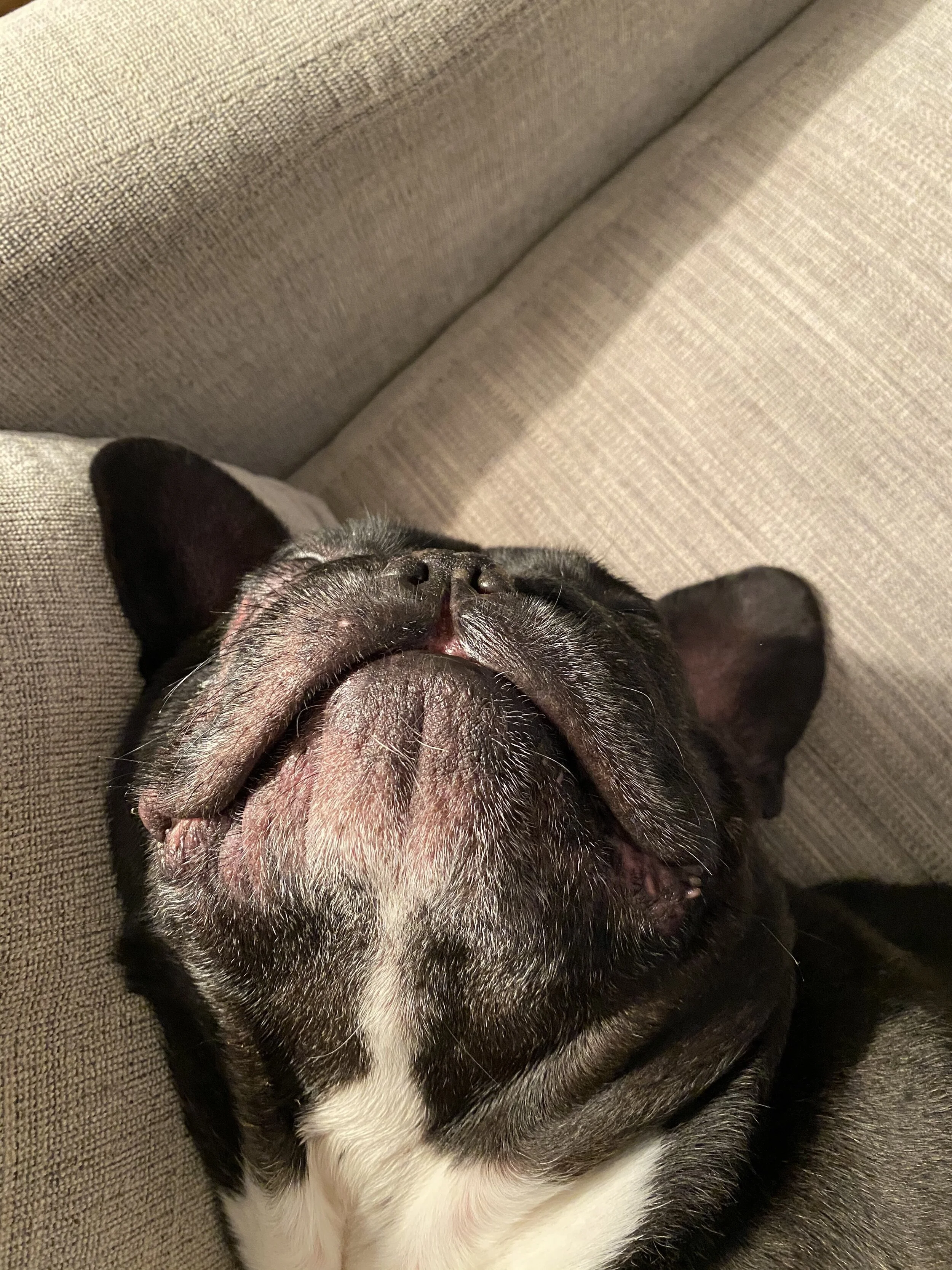 GREAT GOOGILYMOOGILY, EVERYBUDDY!! LET'S HANG OUT AND STUFF!! ( 26 photos) 