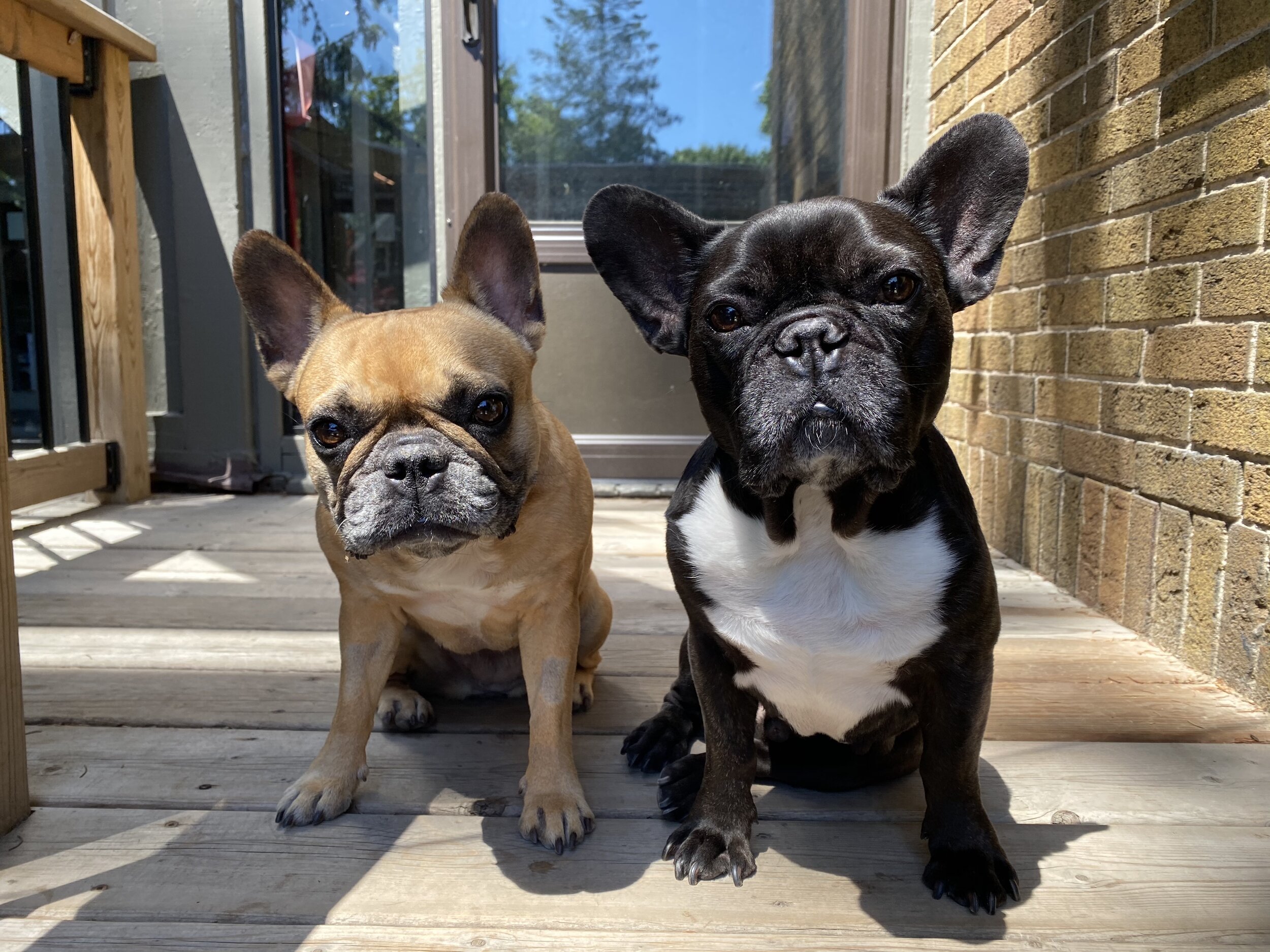 MRS. WATERBOTTOM IS BACK, EVERYBUDDY!! (30 photos + video)