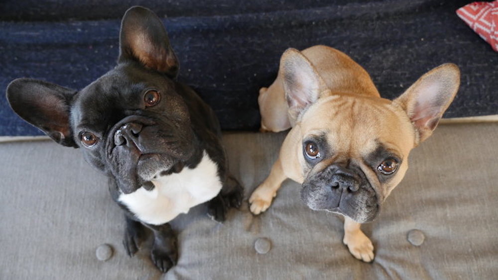 HERE IS MUM'S PICTUREMOVIE, GUYS!! (30 photos) 