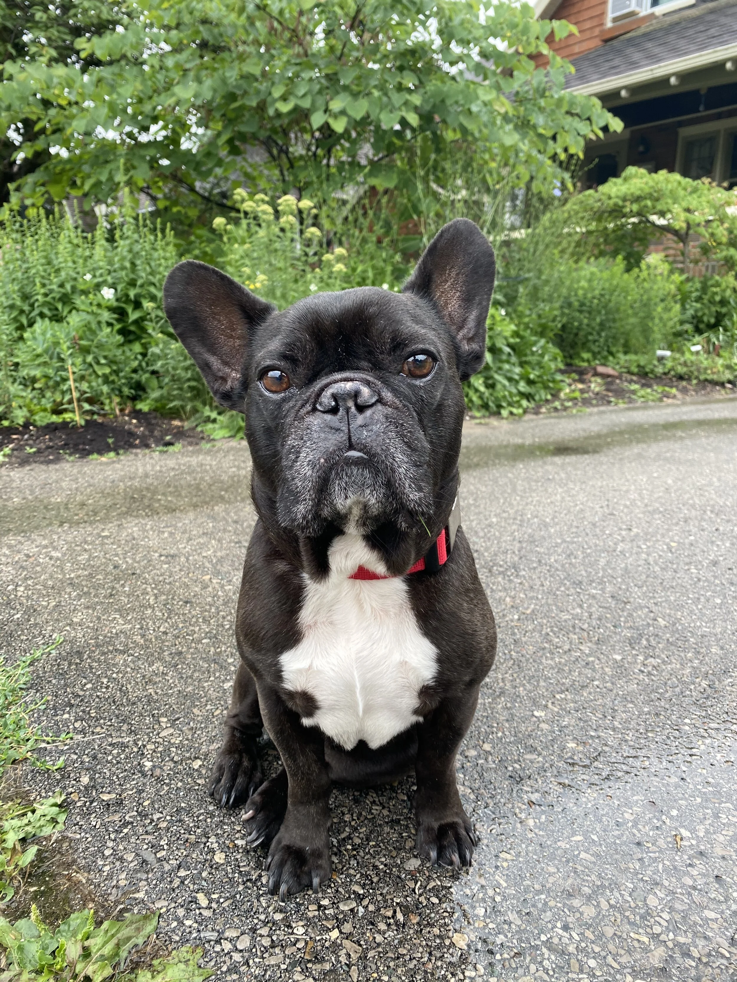 TIMES FOR A NIEGHBOURHOOD DOOP DEE DOOP, GUYS!! (50 photos)