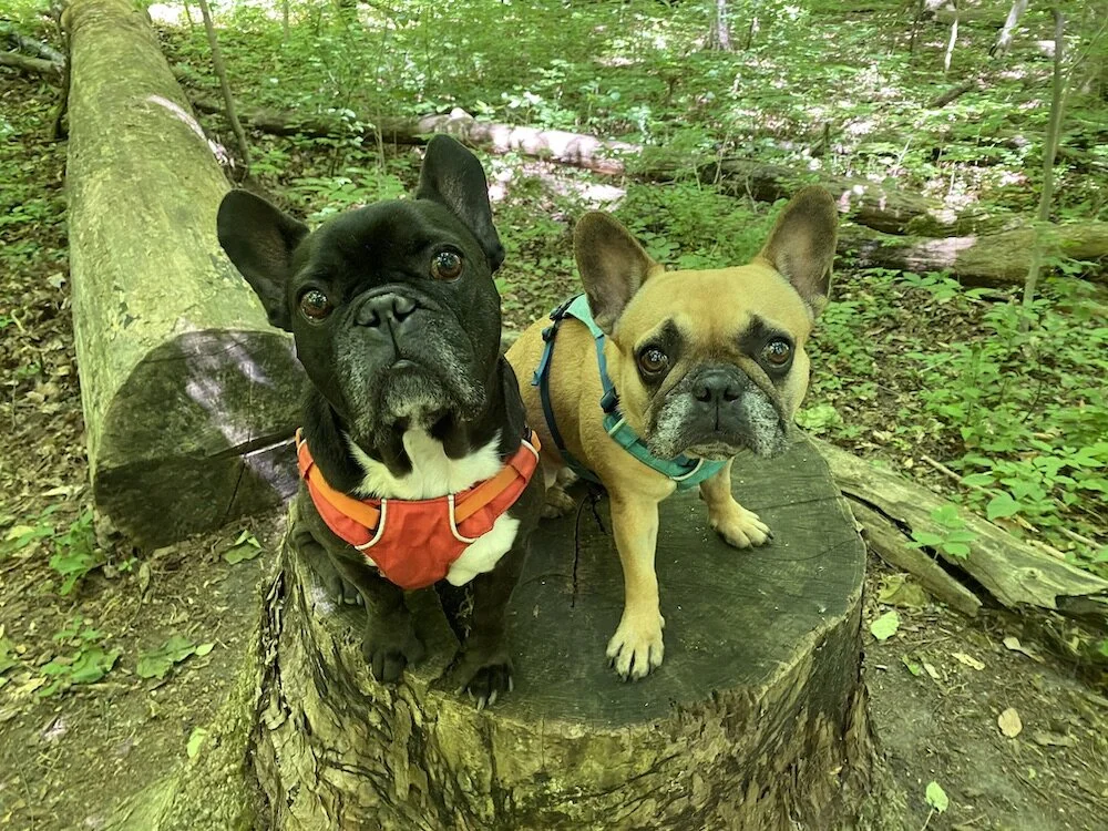 LOOKIT ALLA THE GREEEEEEEEEEEEEEEEEEEEN, GUYS!! (30 photos) 