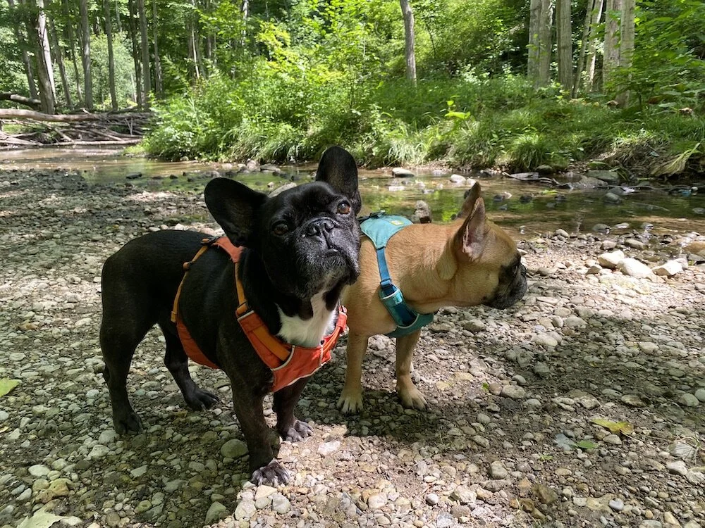 MIRABELLE FELLED OFFA BOULDEROCK INTO A BURBLECREEK, GUYS!! (50 photos) 