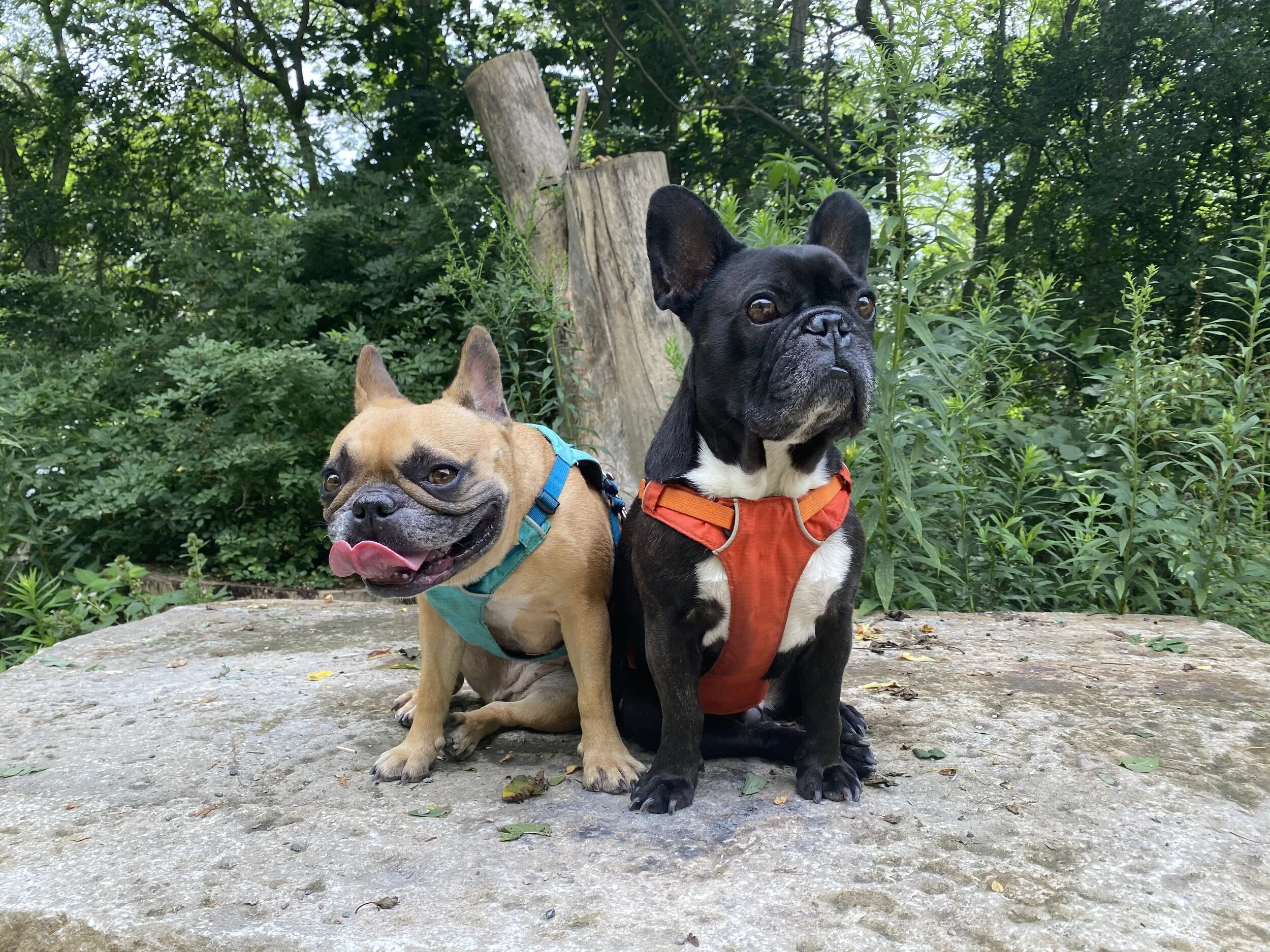 PUT ON YOUR WALKINGSOCKS, EVERYBUDDY!! (55 photos)