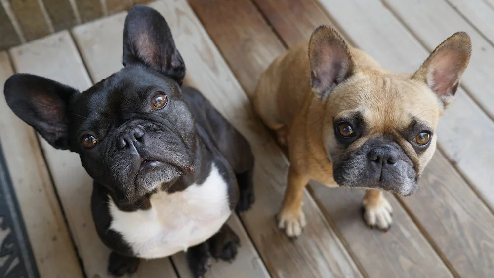 LET'S DOOP DEE DOOP 'ROUND OUR WORTLEY VILLAGE, GUYS!! (50+ photos)